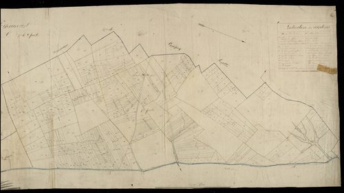 Plan du cadastre napoléonien - Yaucourt-Bussus : C