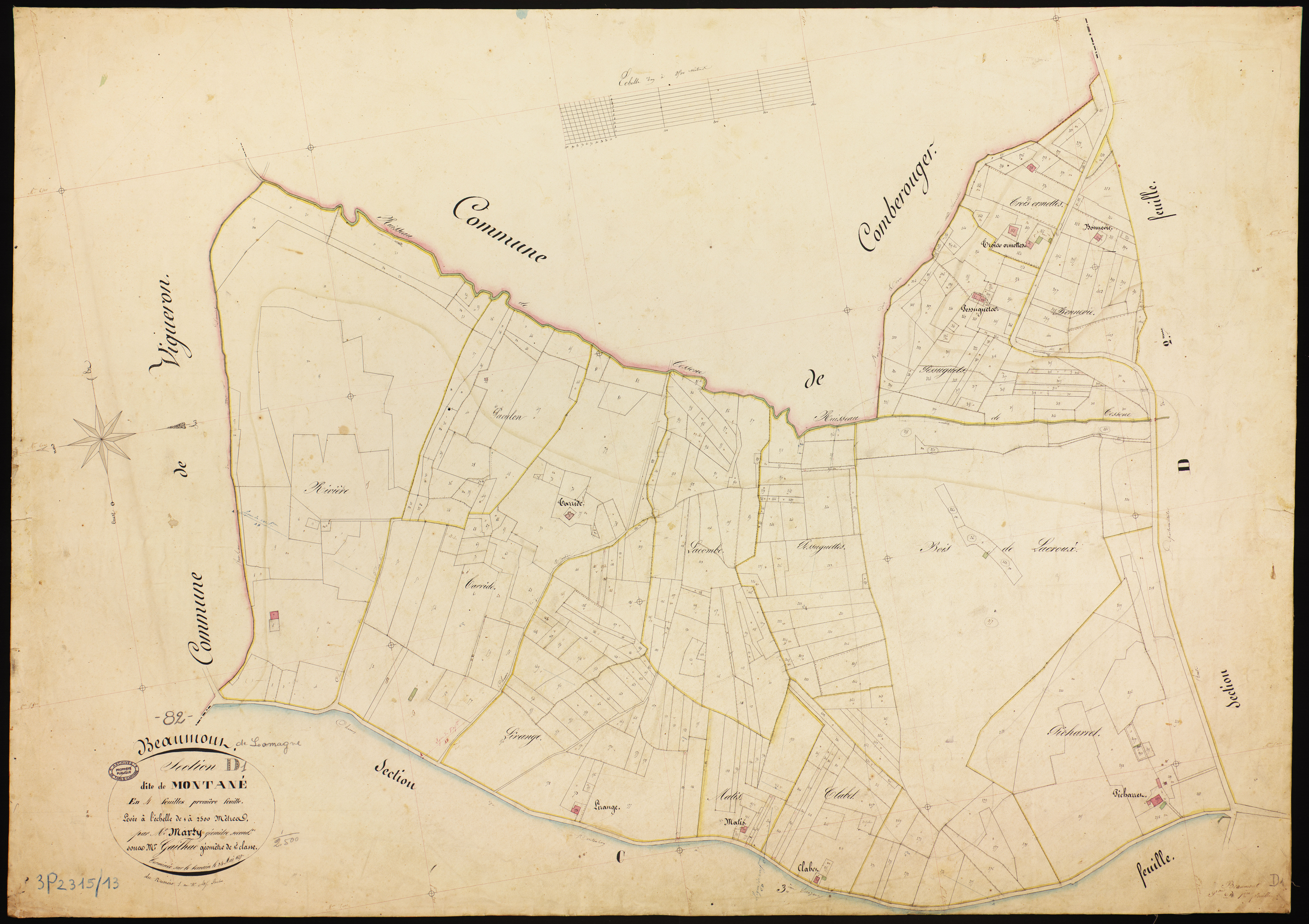 Beaumont-de-Lomagne - Section D - Montané, 1ère feuille