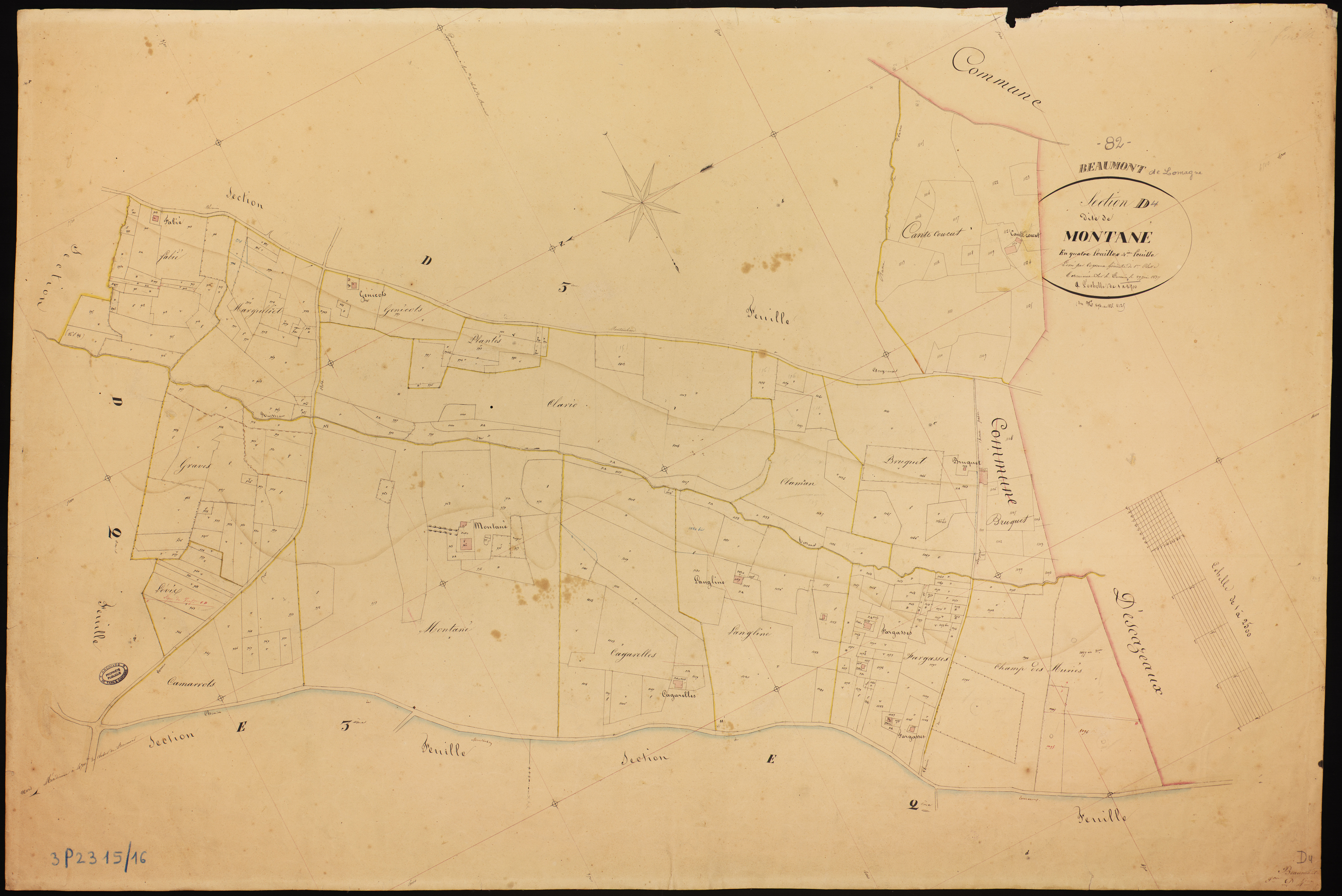 Beaumont-de-Lomagne - Section D - Montané, 4e feuille