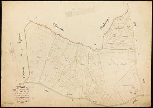 Beaumont-de-Lomagne - Section D - Montané, 1ère feuille