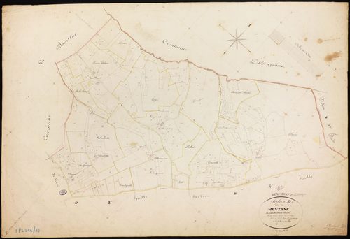 Beaumont-de-Lomagne - Section D - Montané, 3e feuille