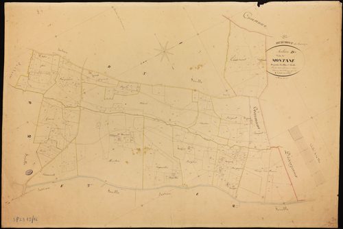 Beaumont-de-Lomagne - Section D - Montané, 4e feuille