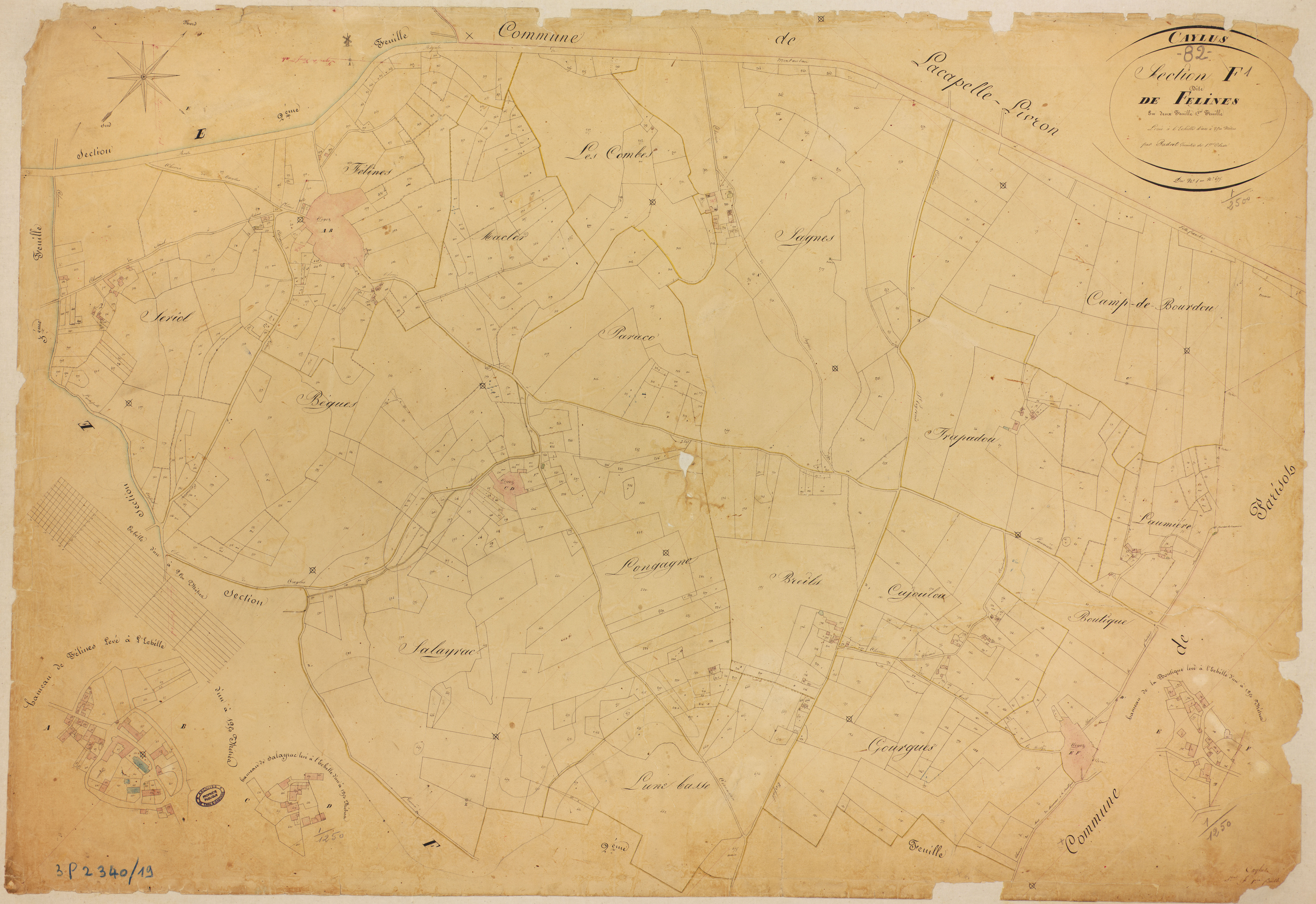 Caylus - Section F - Felines, 1ère feuille
