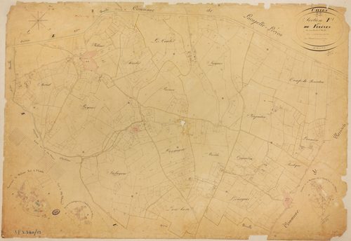 Caylus - Section F - Felines, 1ère feuille