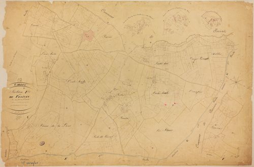 Caylus - Section F - Felines, 2e feuille