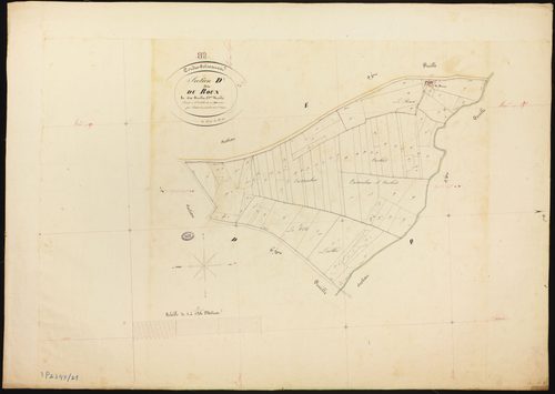 Cordes-Tolosannes - Section D - Le Roux, 5e feuille