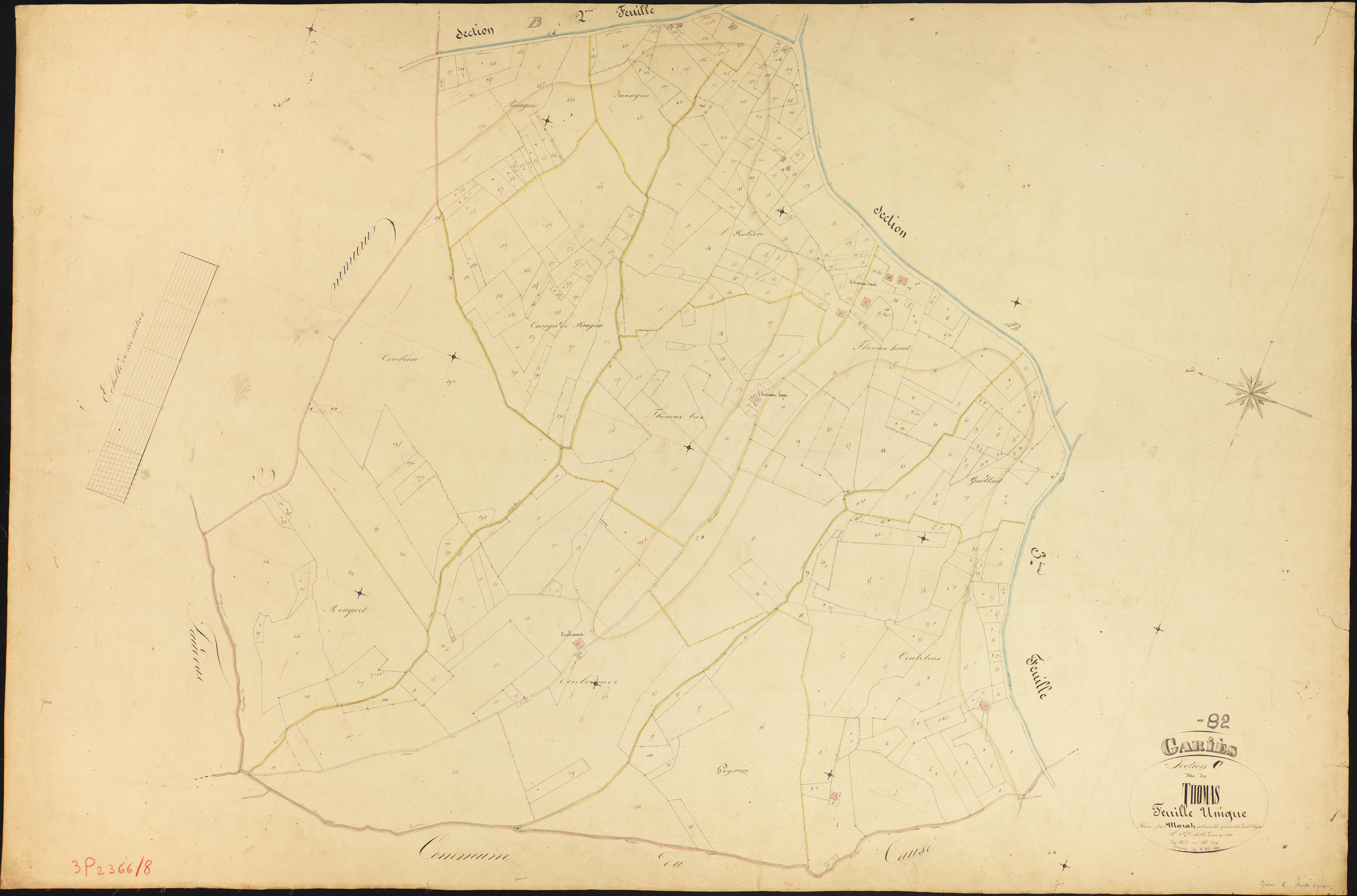 Gariès - Section C - Thomas