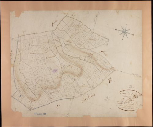 Lafrançaise - Section D - Pillas, 1ère feuille