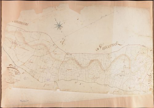 Lafrançaise - Section D - Pillas, 2e et 3e feuille