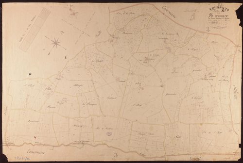 Lauzerte - Section D - Saint-Fort, 2e feuille