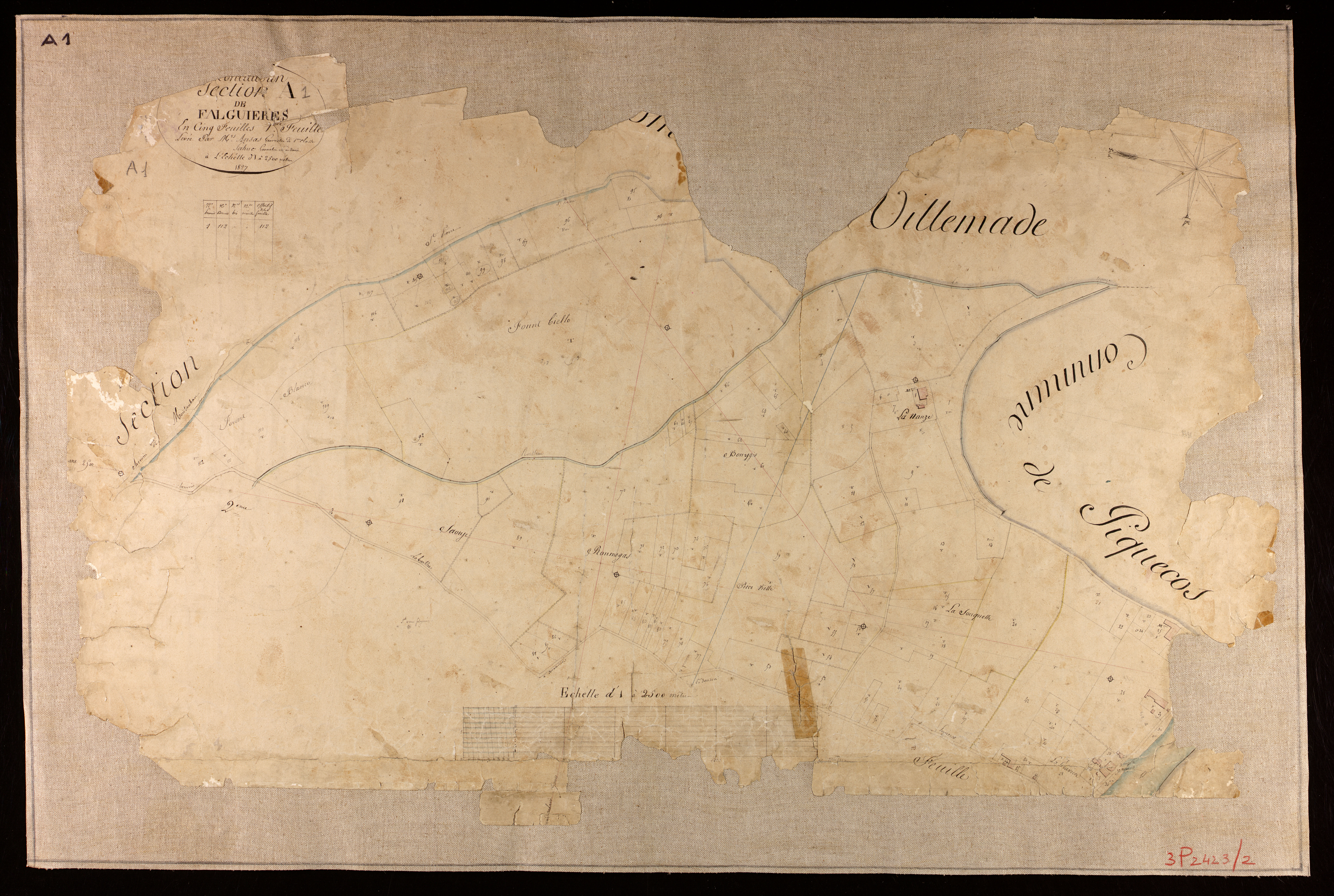 Montauban - Section A - Falguières, 1ère feuille