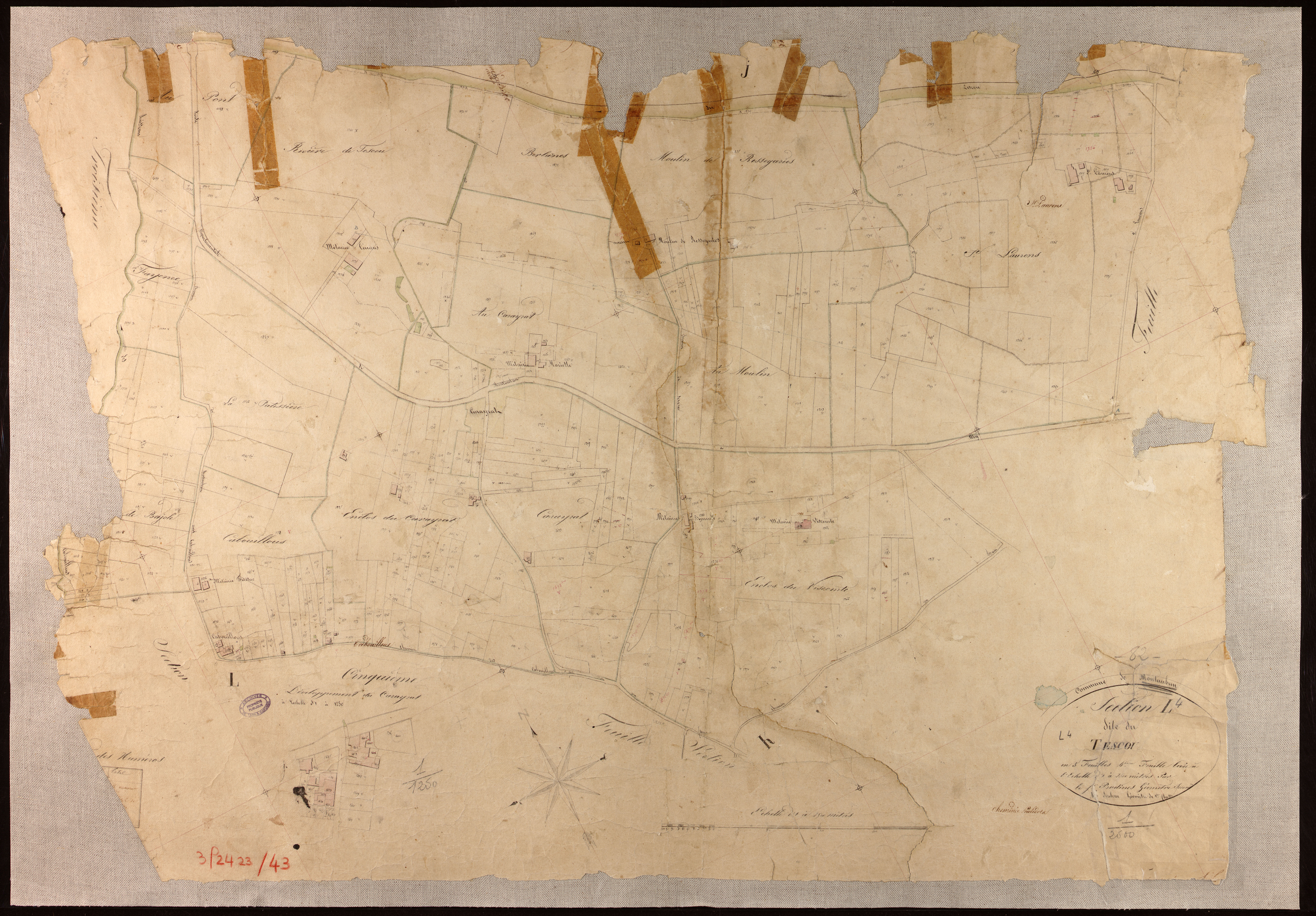Montauban - Section L - Le Tescou, 4e feuille