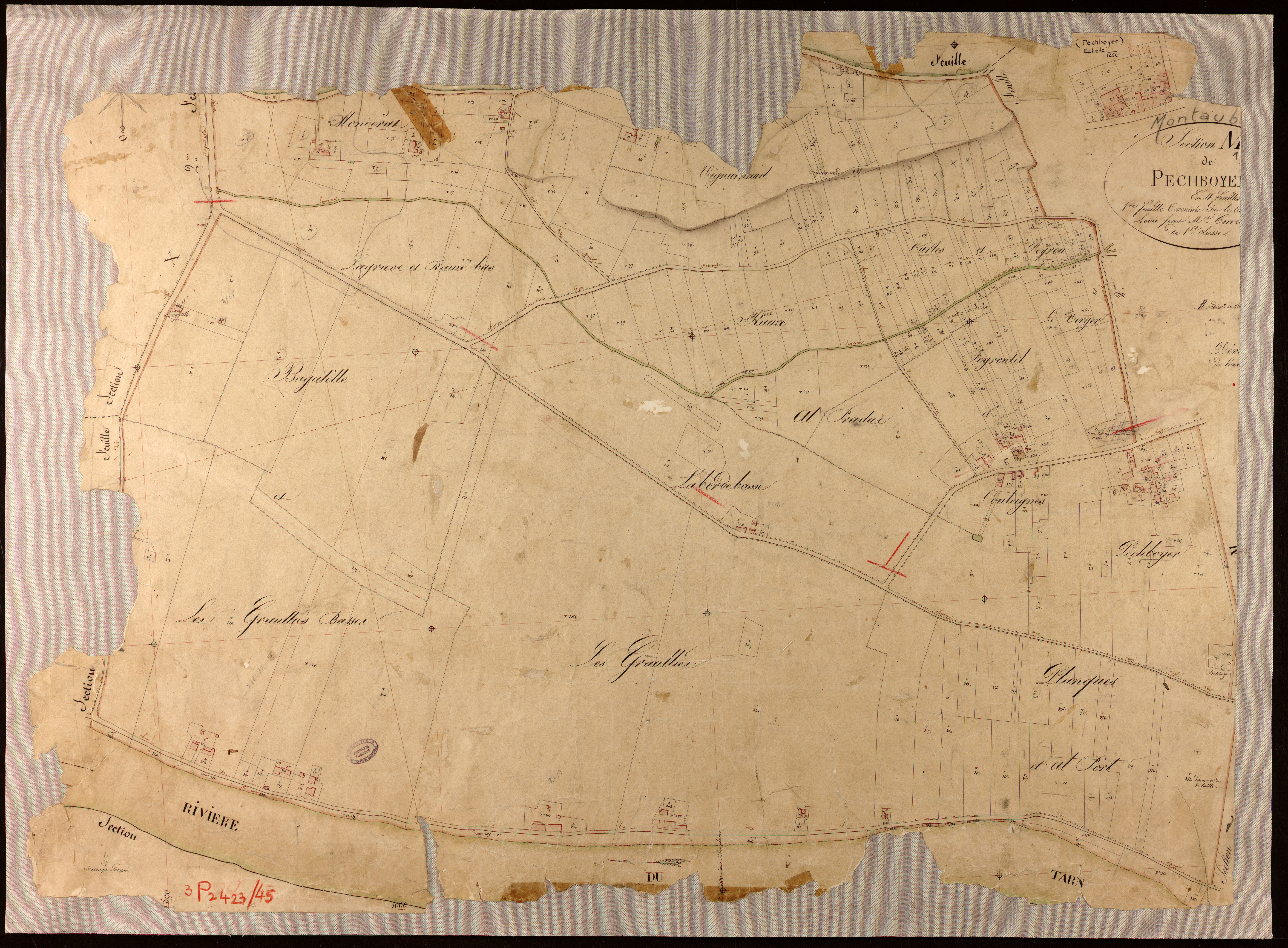 Montauban - Section M - Pechboyer, 1ère feuille