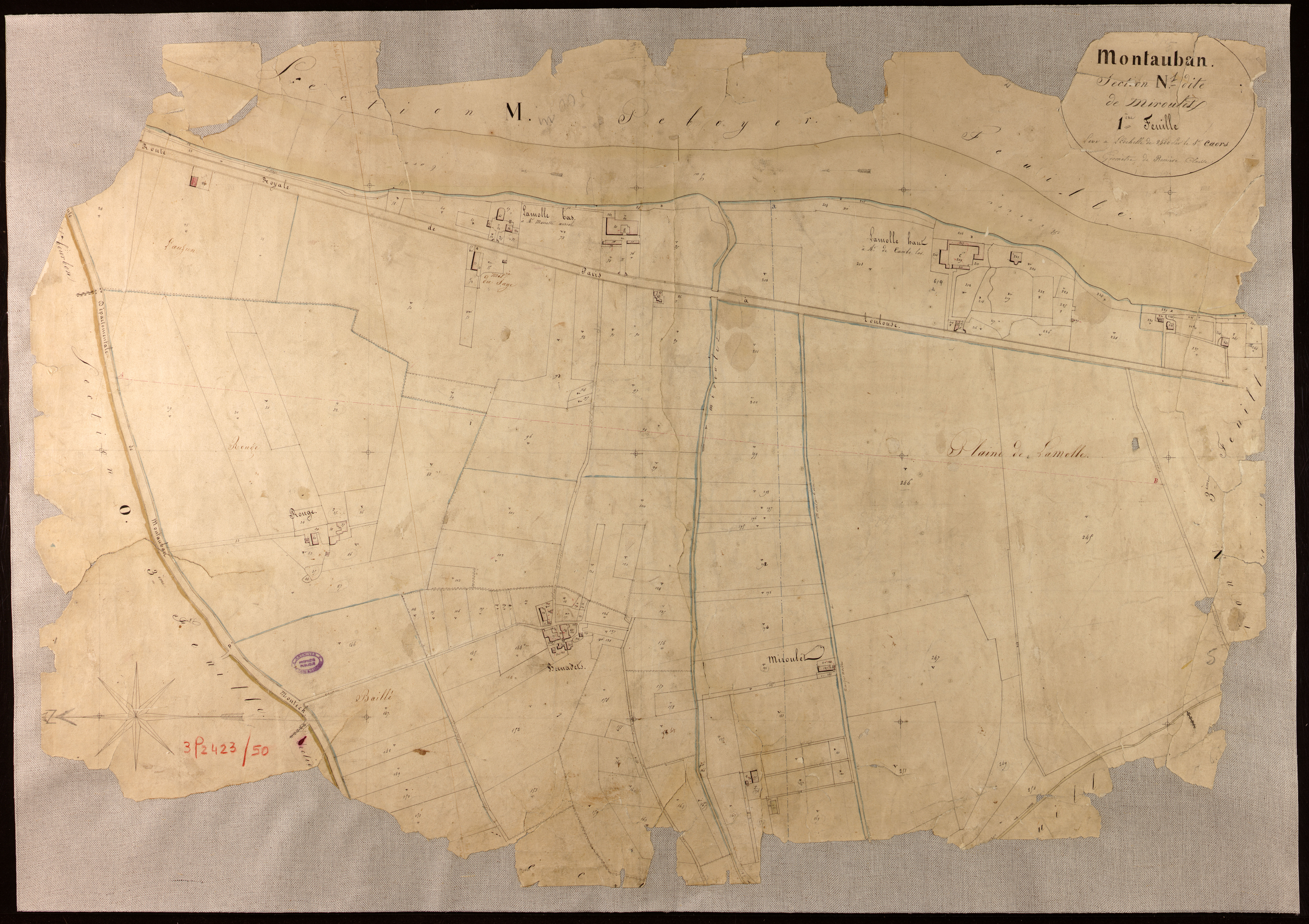 Montauban - Section N - Miroulet, 1ère feuille