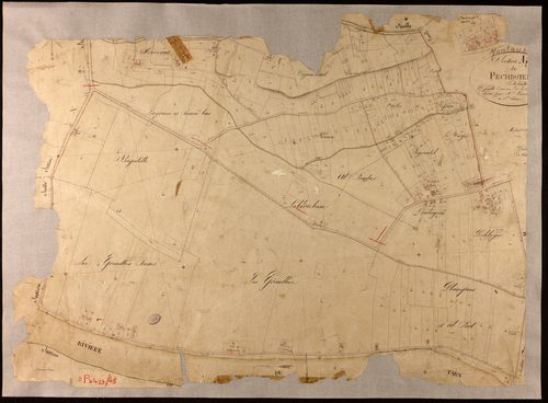Montauban - Section M - Pechboyer, 1ère feuille