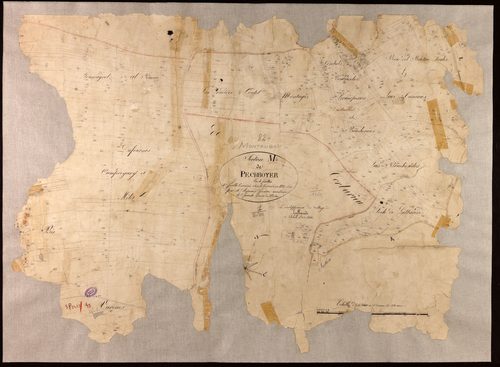 Montauban - Section M - Pechboyer, 4e feuille