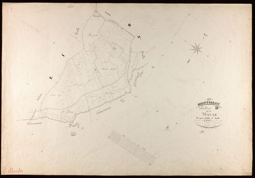 Montpezat-de-Quercy - Section D - Manas, 4e feuille