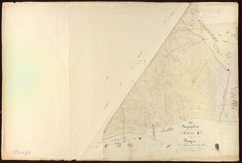 Nègrepelisse - Section C - Roques, 5e feuille