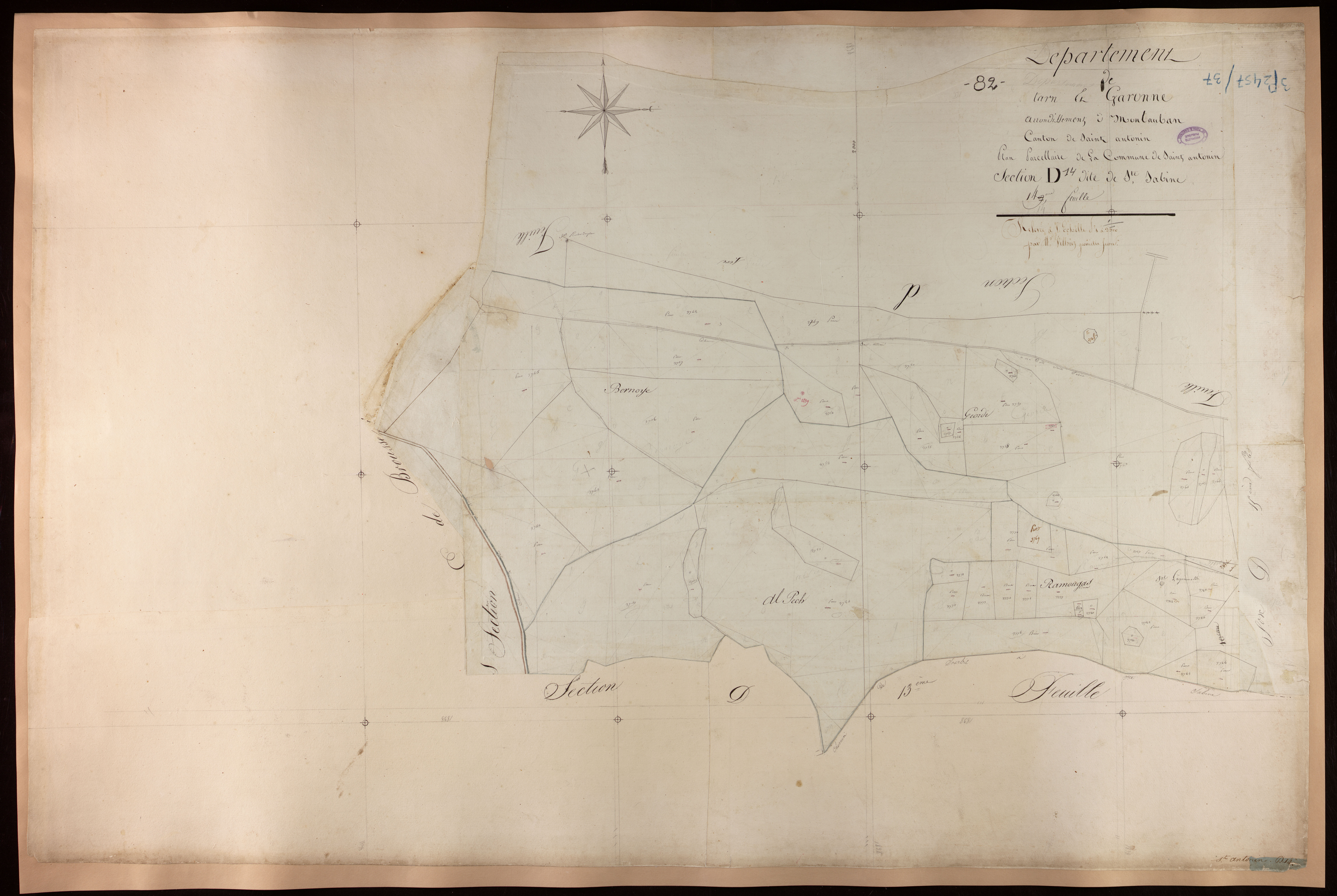 Saint-Antonin-Noble-Val - Section D - Sainte-Sabine, 14e feuille
