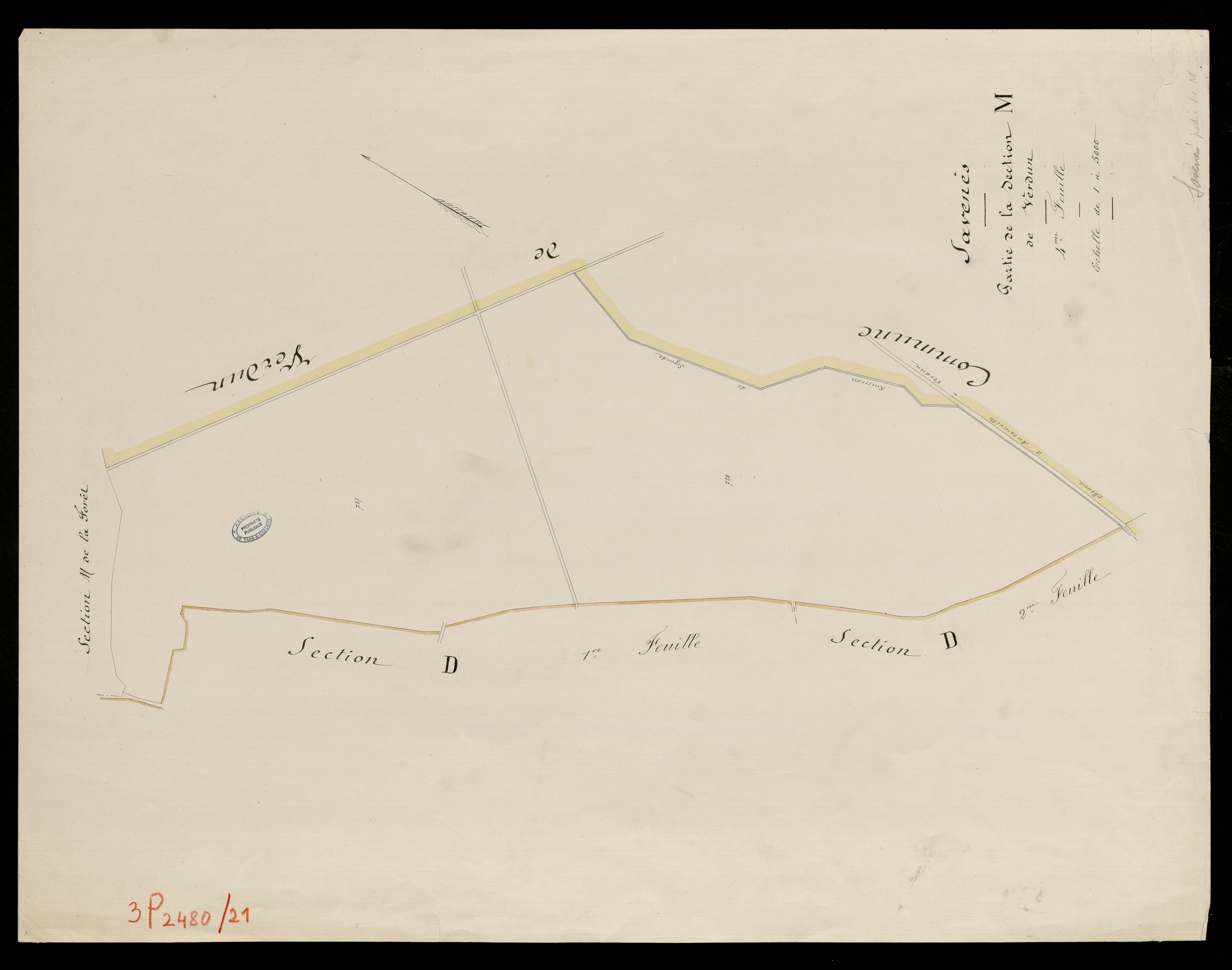 Savenès - Section M - La Forêt