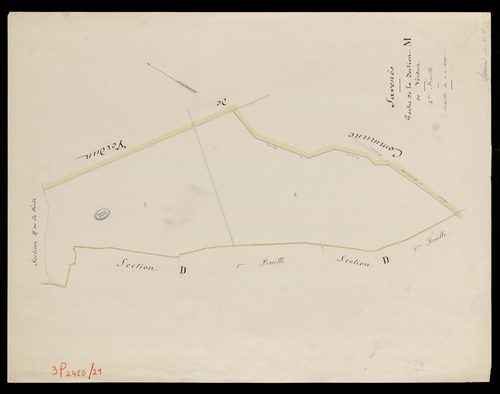 Savenès - Section M - La Forêt