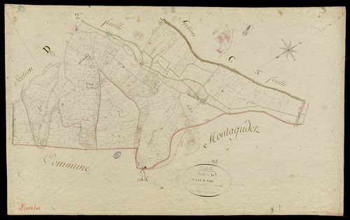 Touffailles - Section D - Sainte-Livrade, 1ère feuille