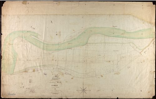 Verdun-sur-Garonne - Section M - La Forêt, 3e feuille