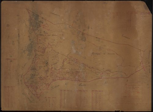 2144 W 2529