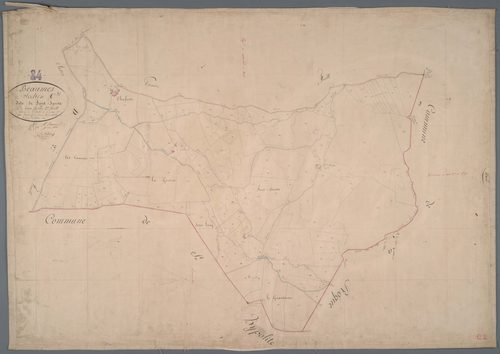 Beaumes-de-Venise - Feuille 2