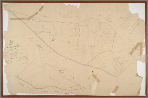 Carpentras - Feuille 4