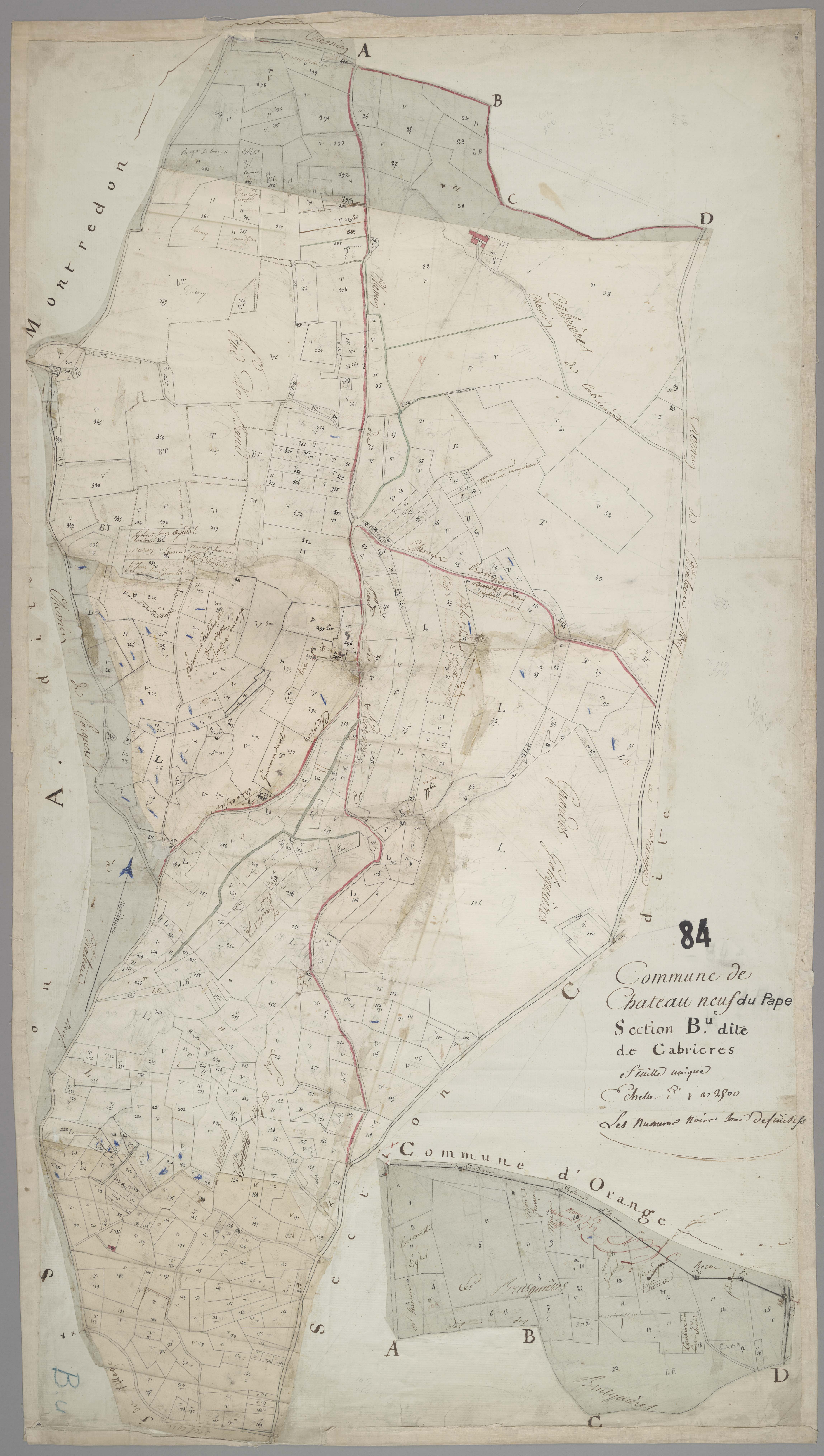 Châteauneuf-du-Pape - Feuille unique