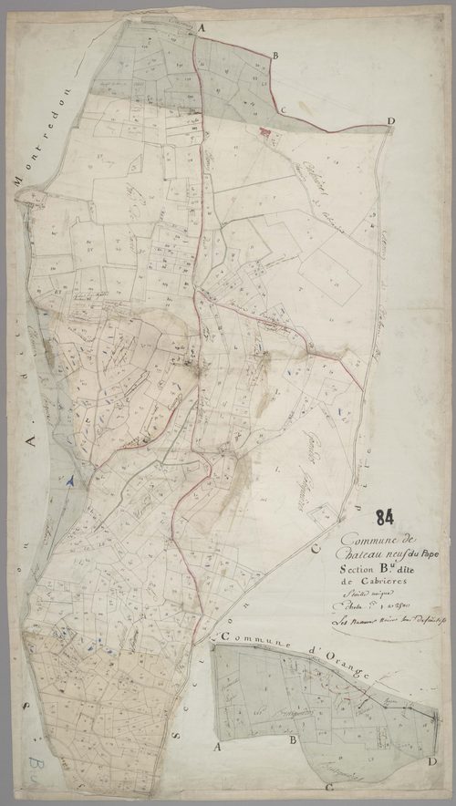 Châteauneuf-du-Pape - Feuille unique