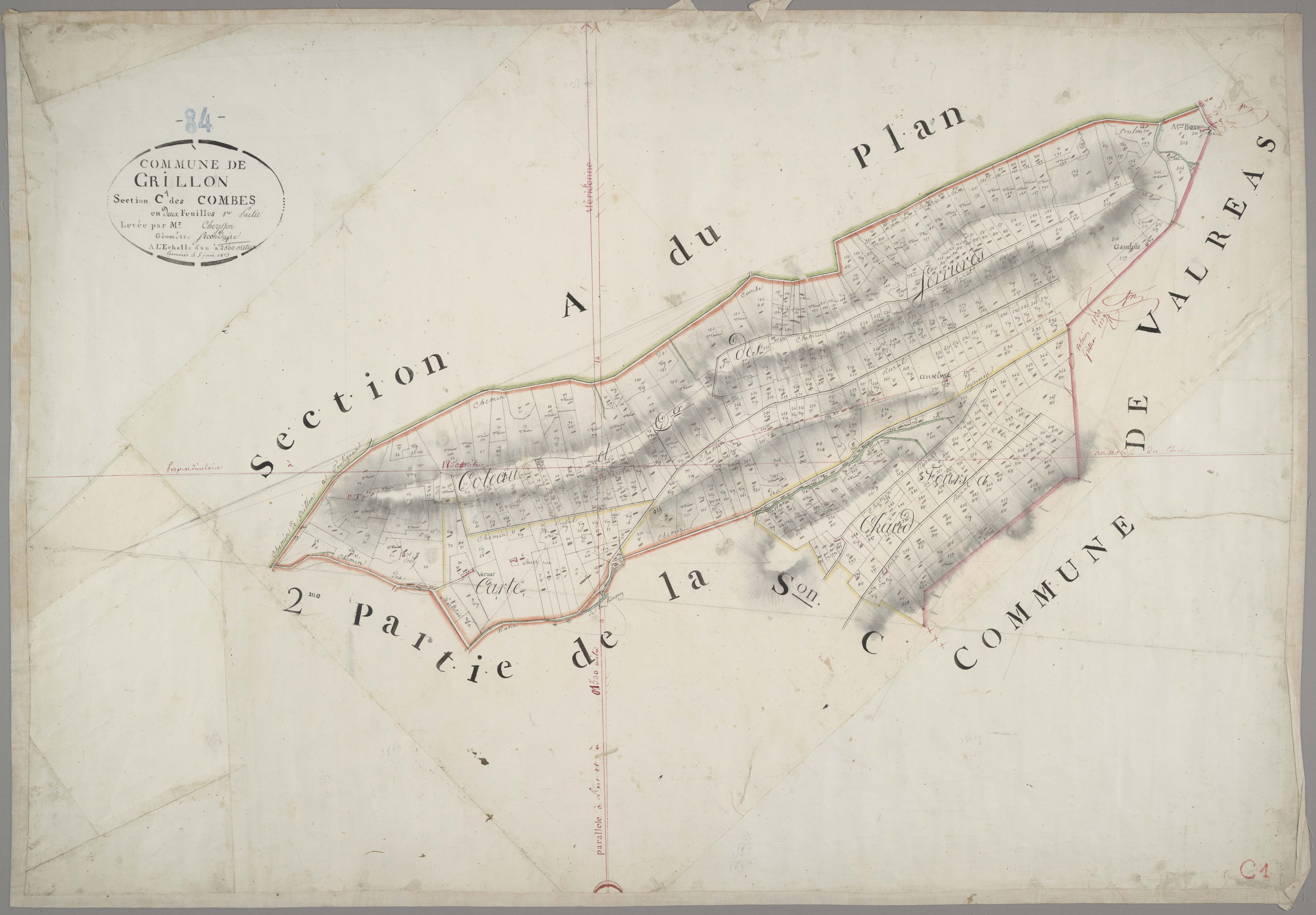 Grillon - Feuille 1