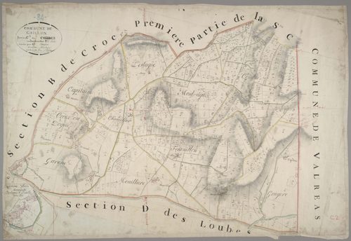 Grillon - Feuille 2