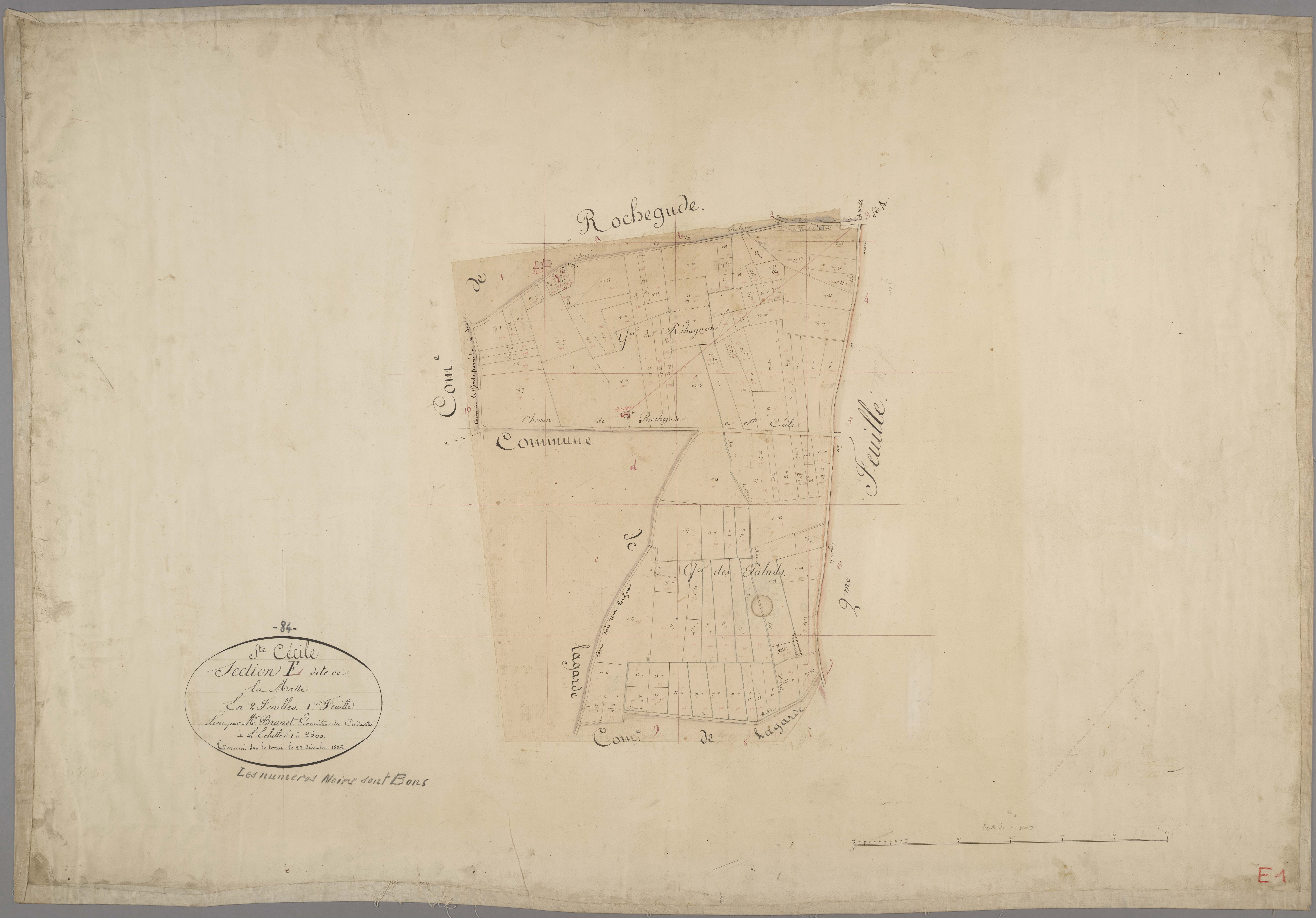 Sainte-Cécile-les-Vignes - Feuille 1