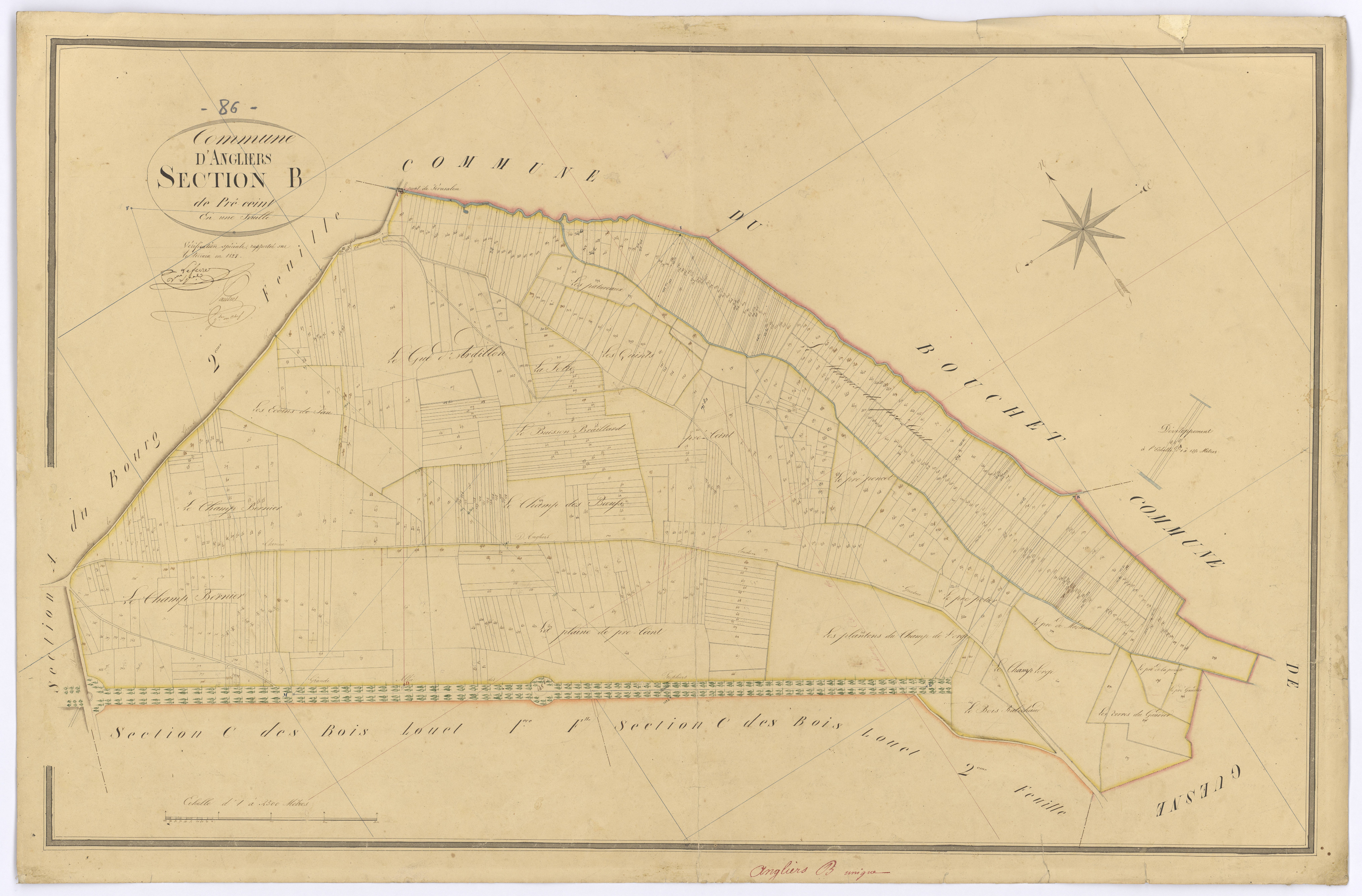 Angliers - FRAD086_cadastre Plans 
