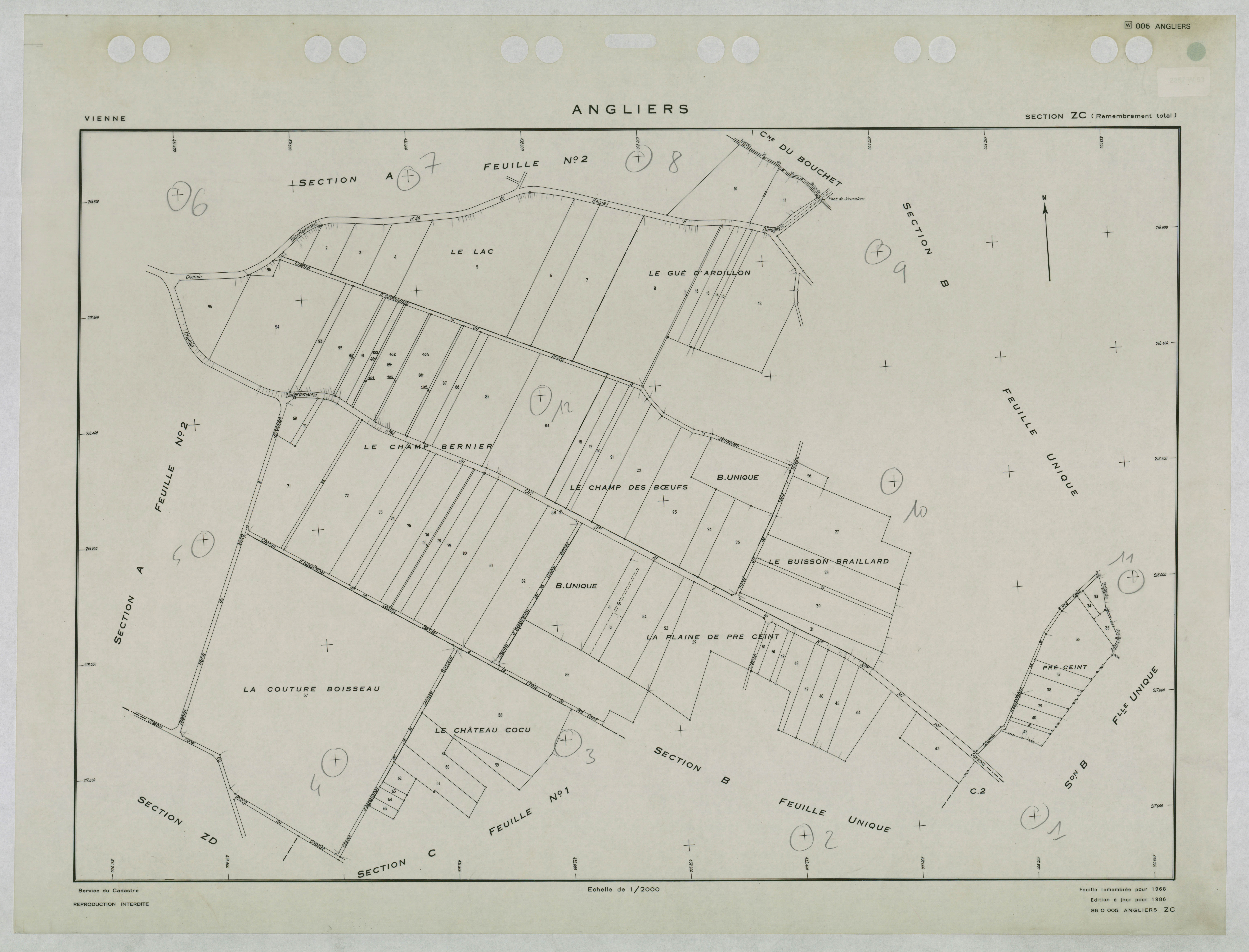 Angliers - FRAD086_cadastre Plans remembrés 