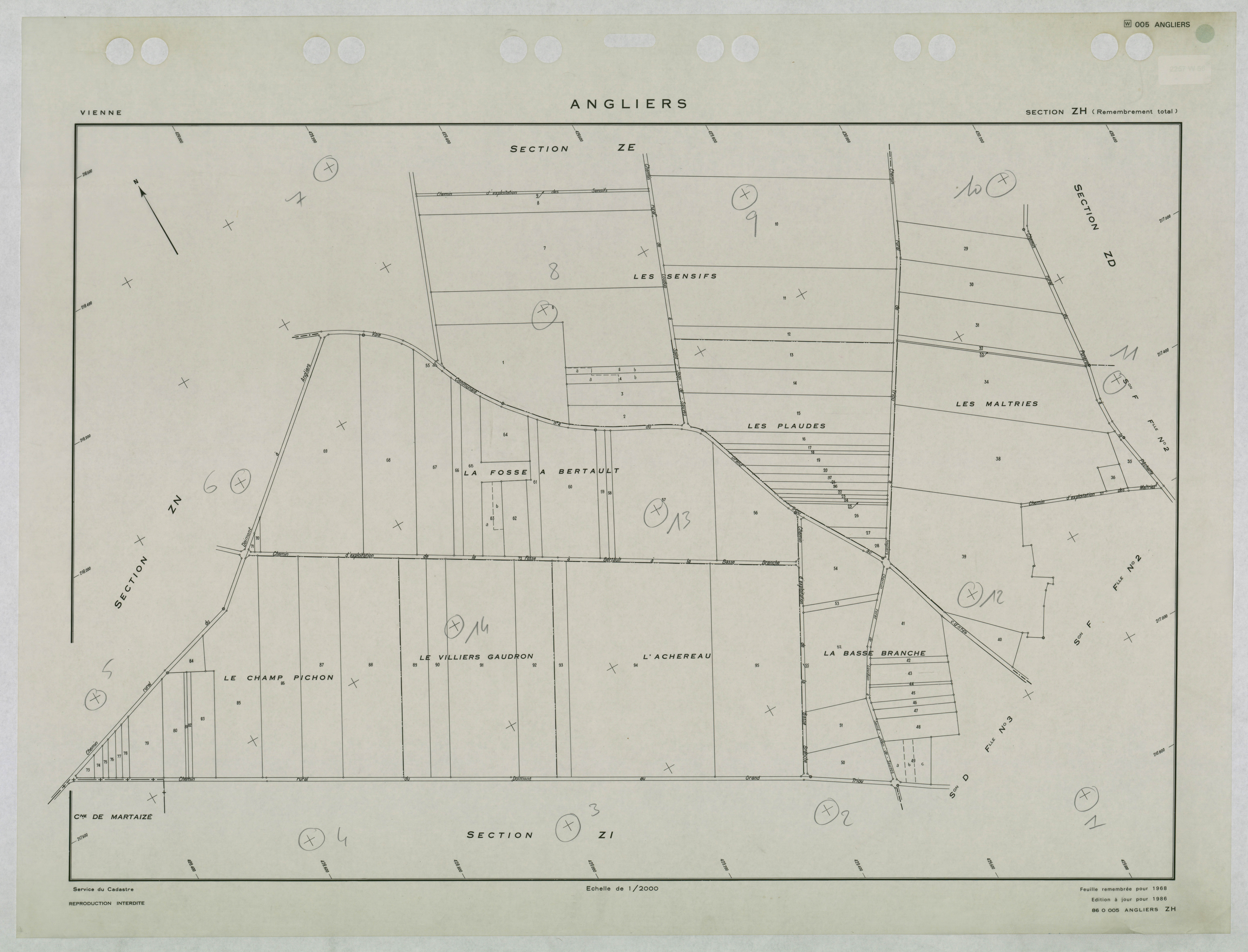 Angliers - FRAD086_cadastre Plans remembrés 