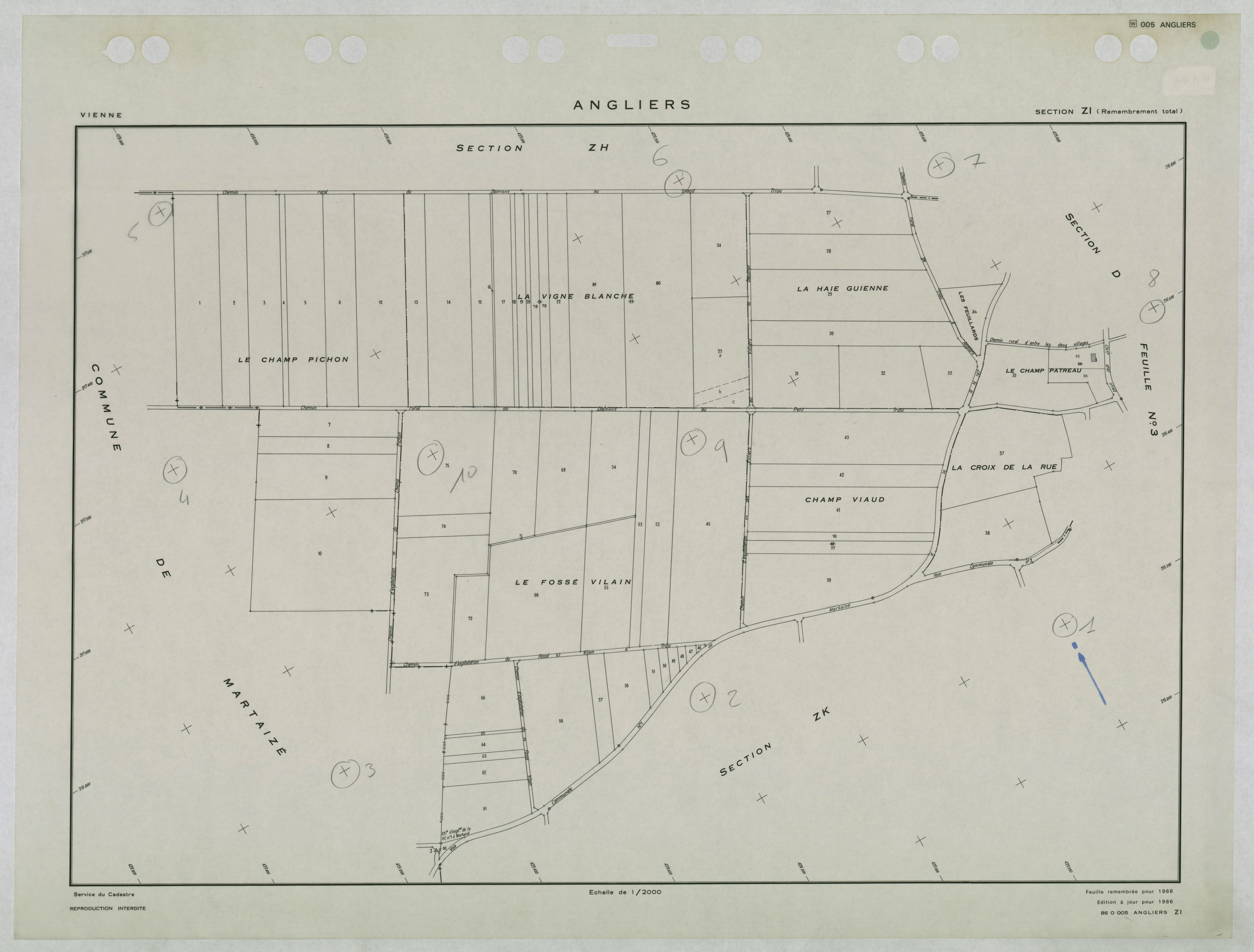 Angliers - FRAD086_cadastre Plans remembrés 