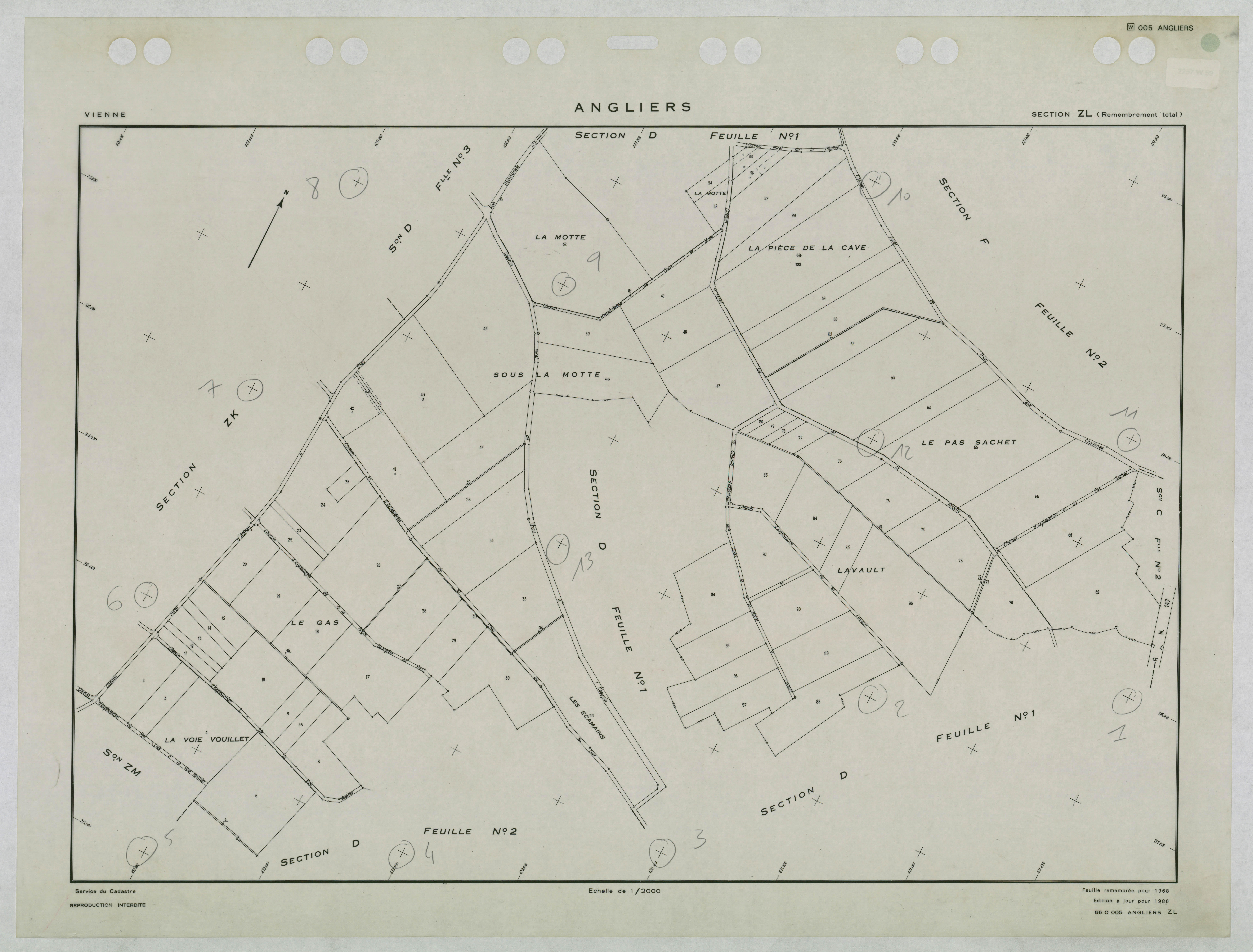 Angliers - FRAD086_cadastre Plans remembrés 