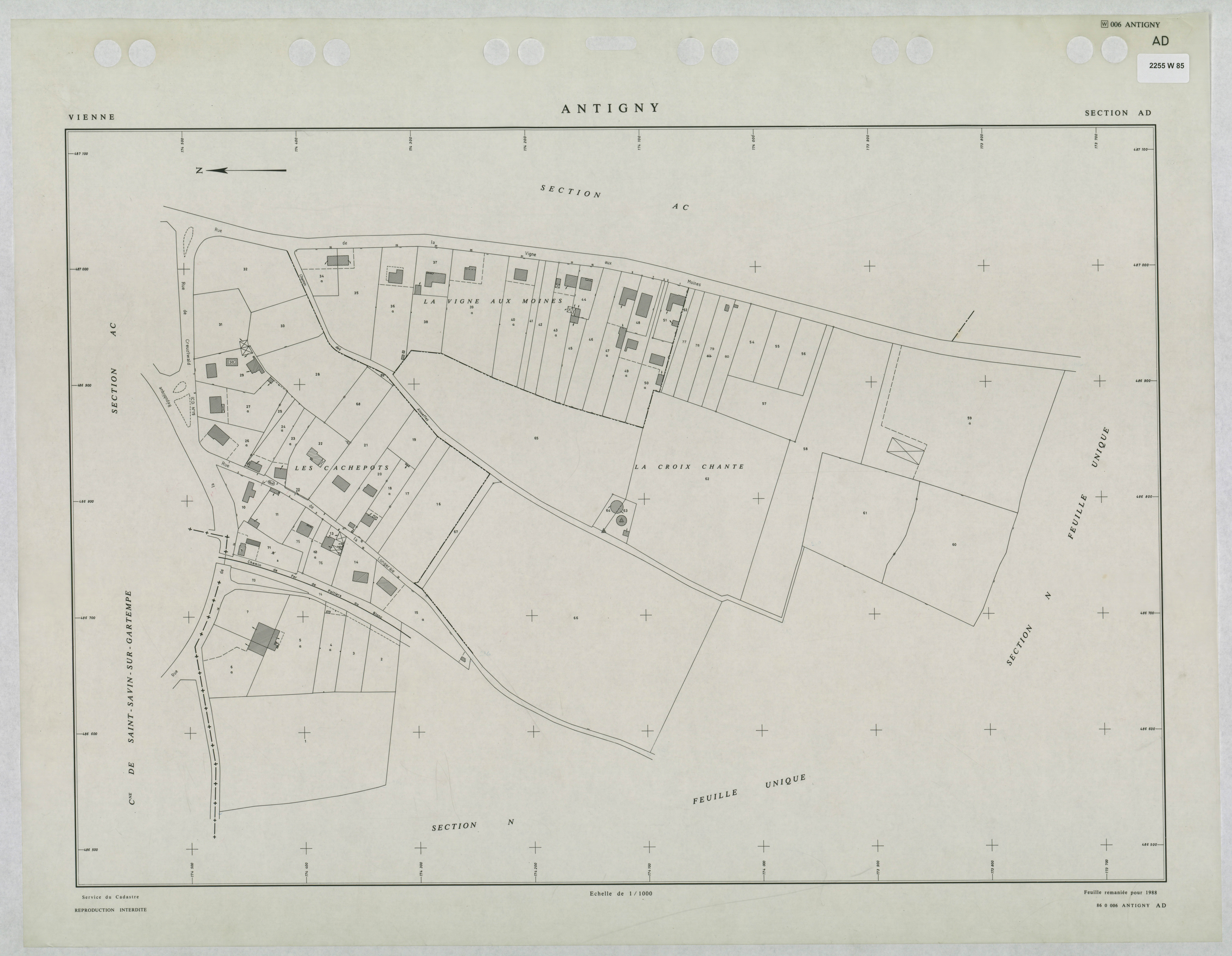 Antigny - FRAD086_cadastre Plans renouvelés 
