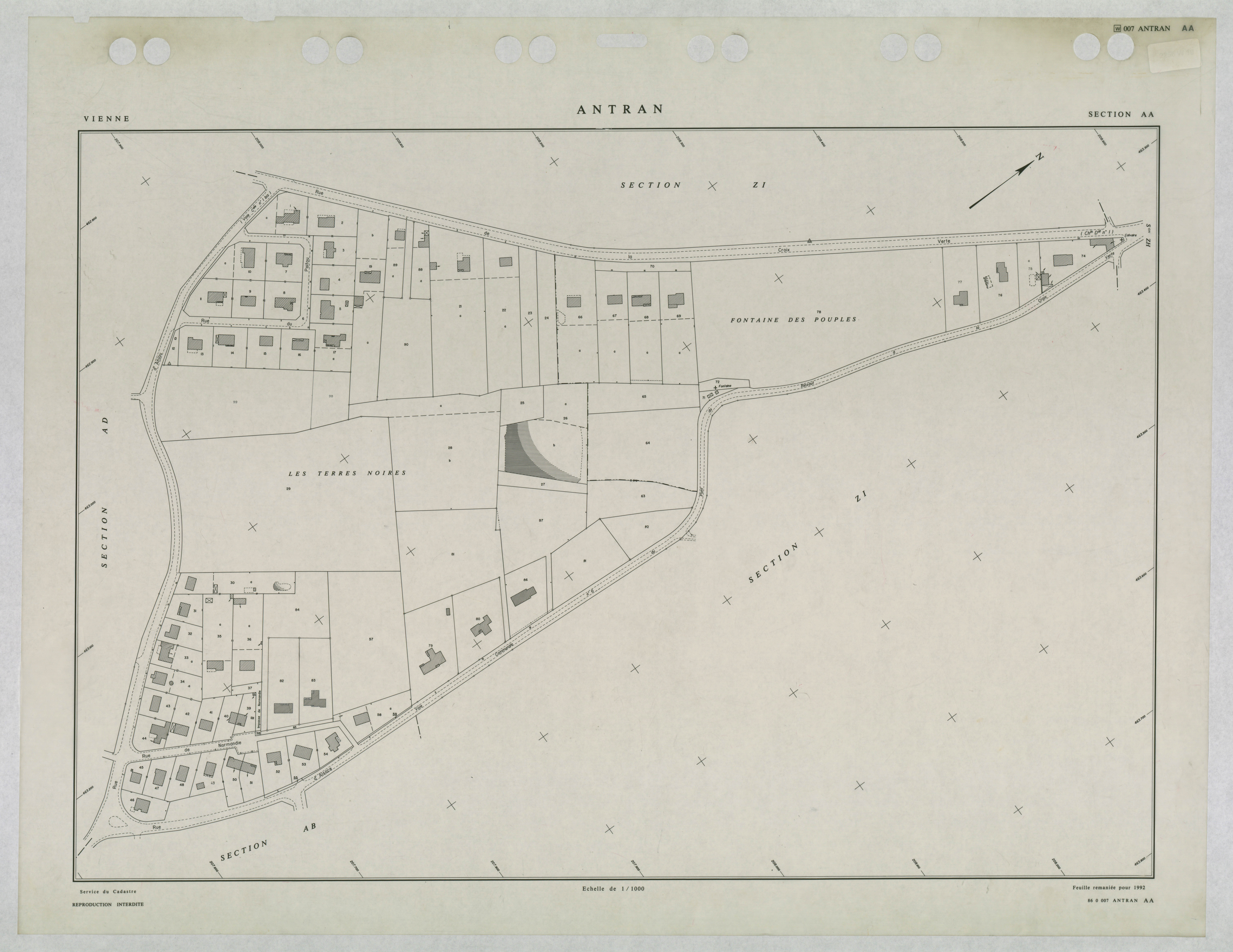 Antran - FRAD086_cadastre Plans remaniés 