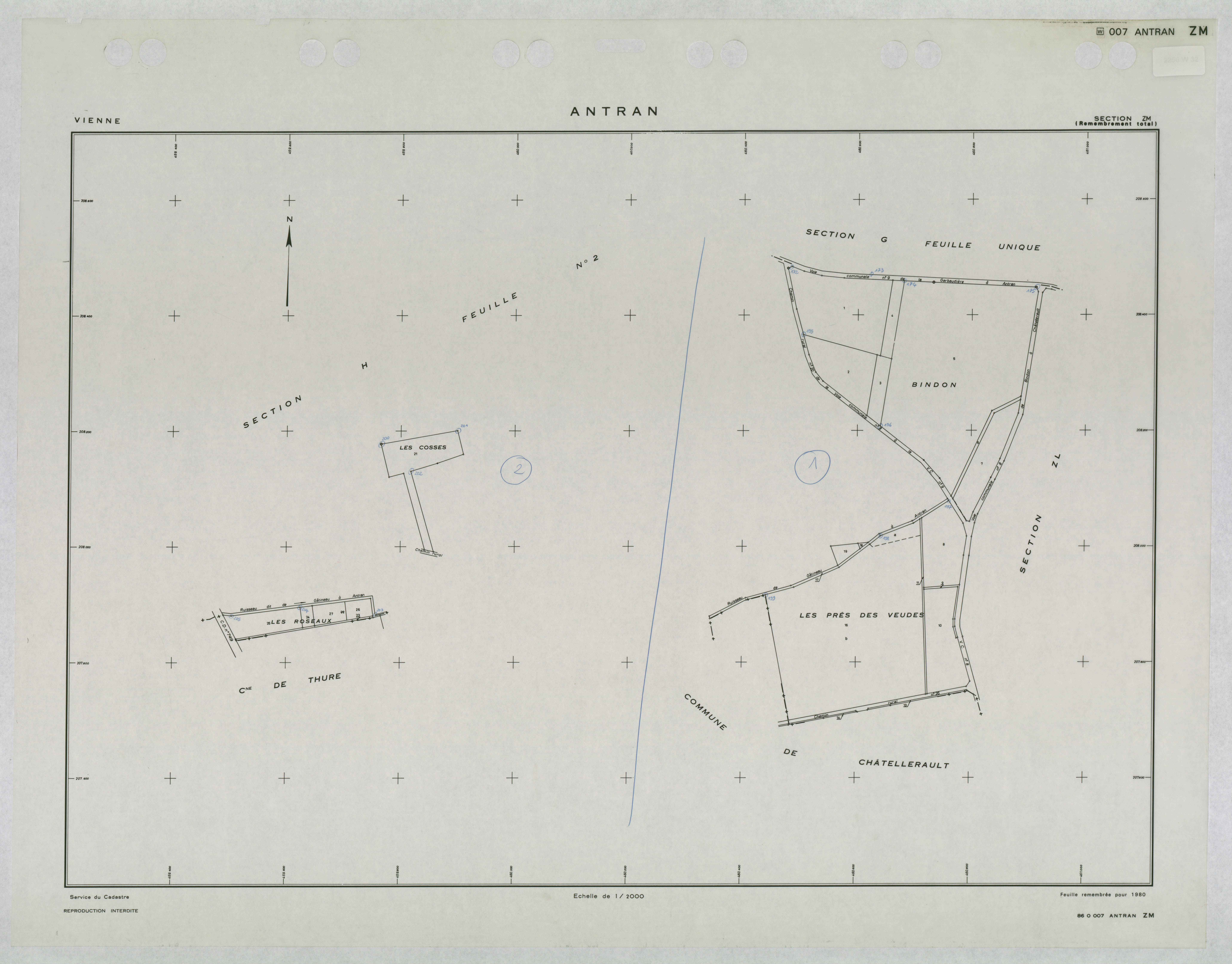 Antran - FRAD086_cadastre Plans remembrés 