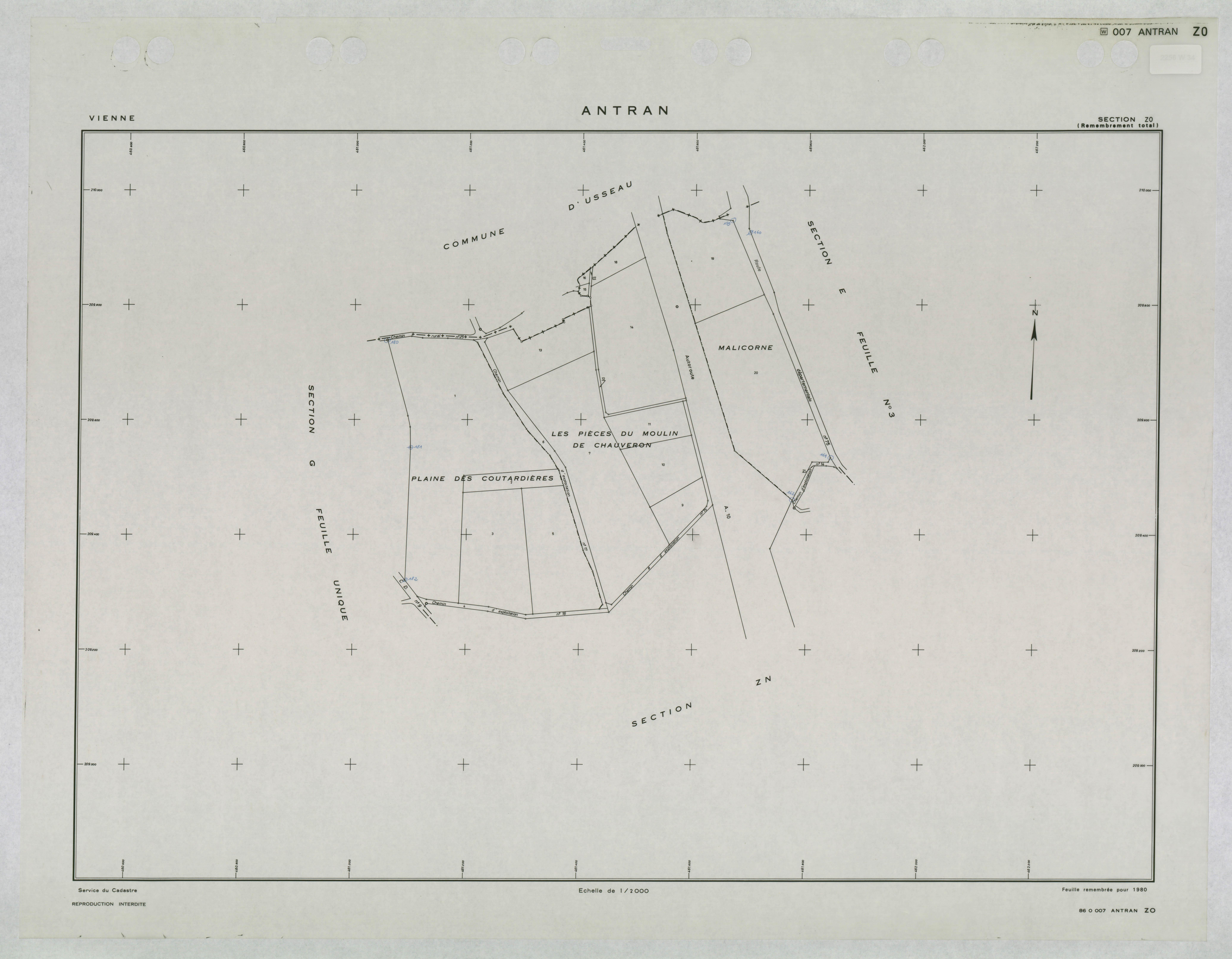 Antran - FRAD086_cadastre Plans remembrés 