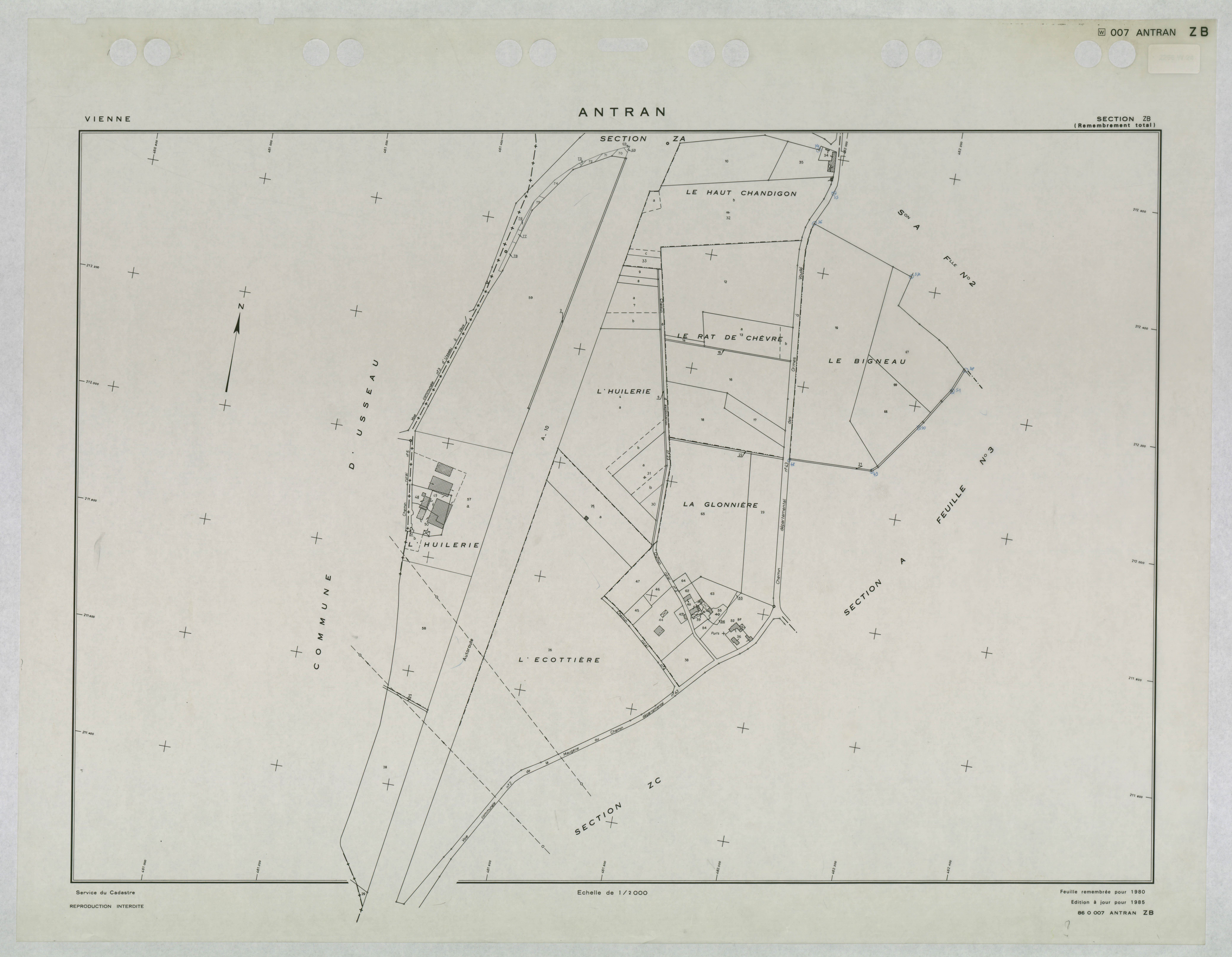 Antran - FRAD086_cadastre Plans remembrés 