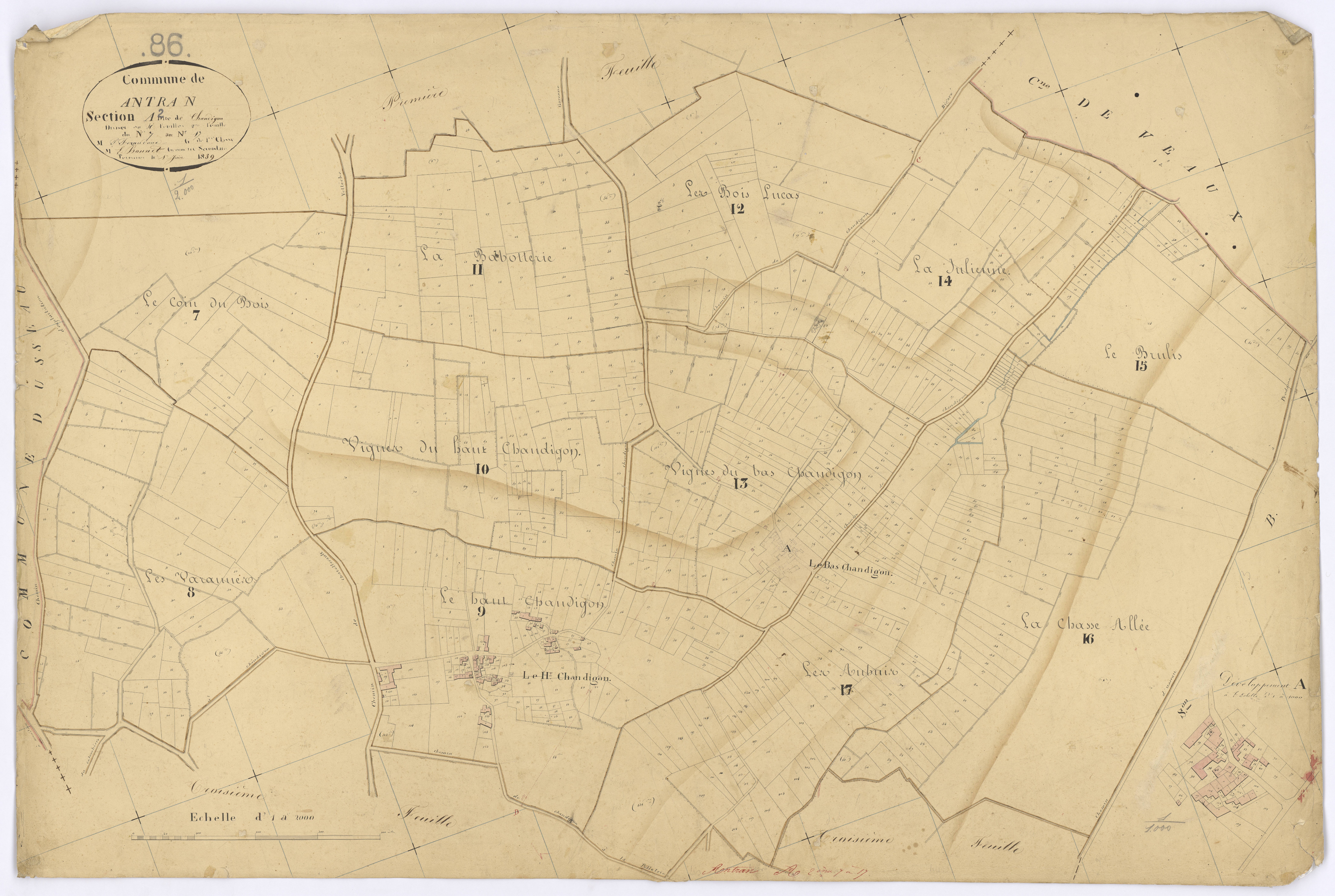 Antran - FRAD086_cadastre Plans 