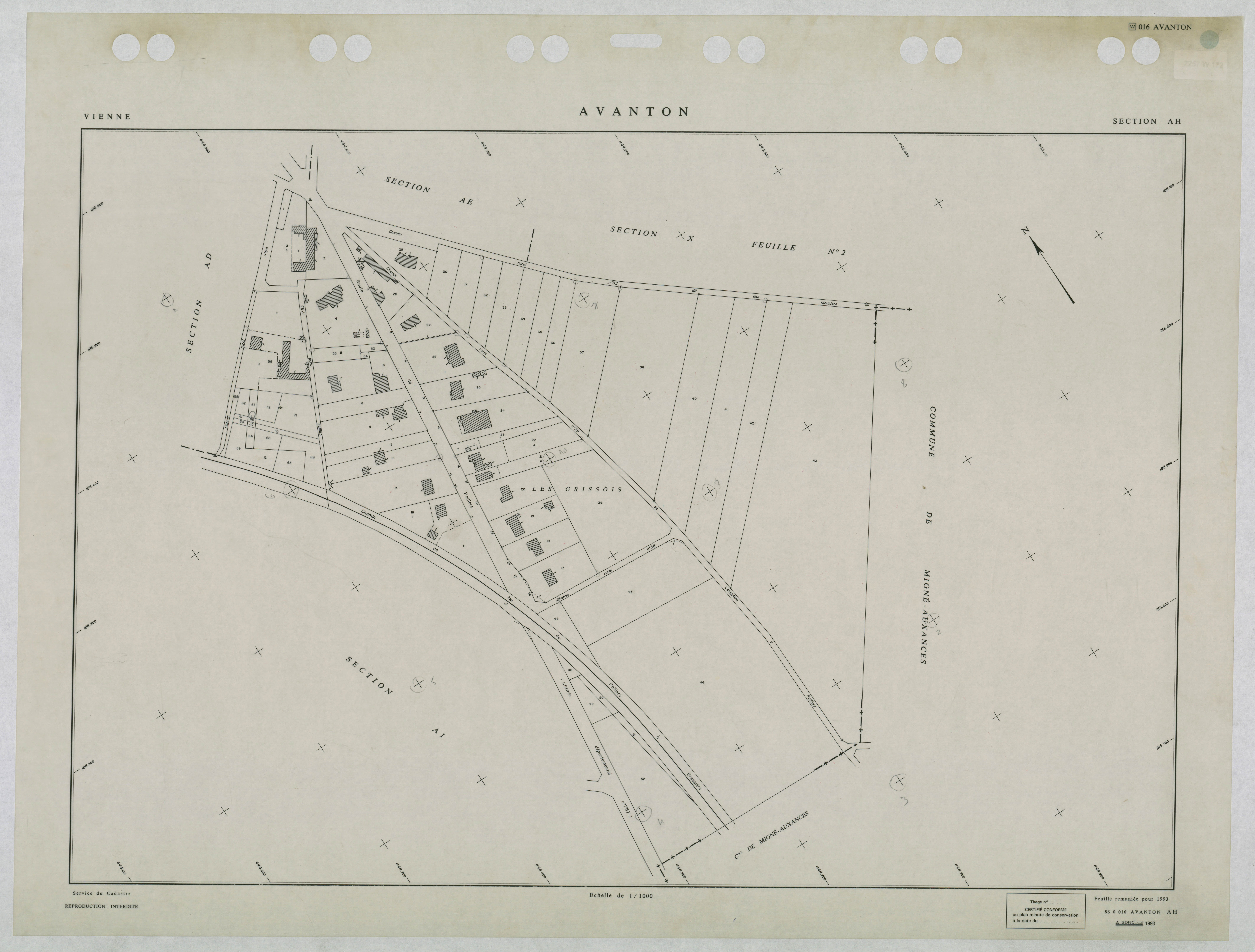 Avanton - FRAD086_cadastre Plans remaniés 