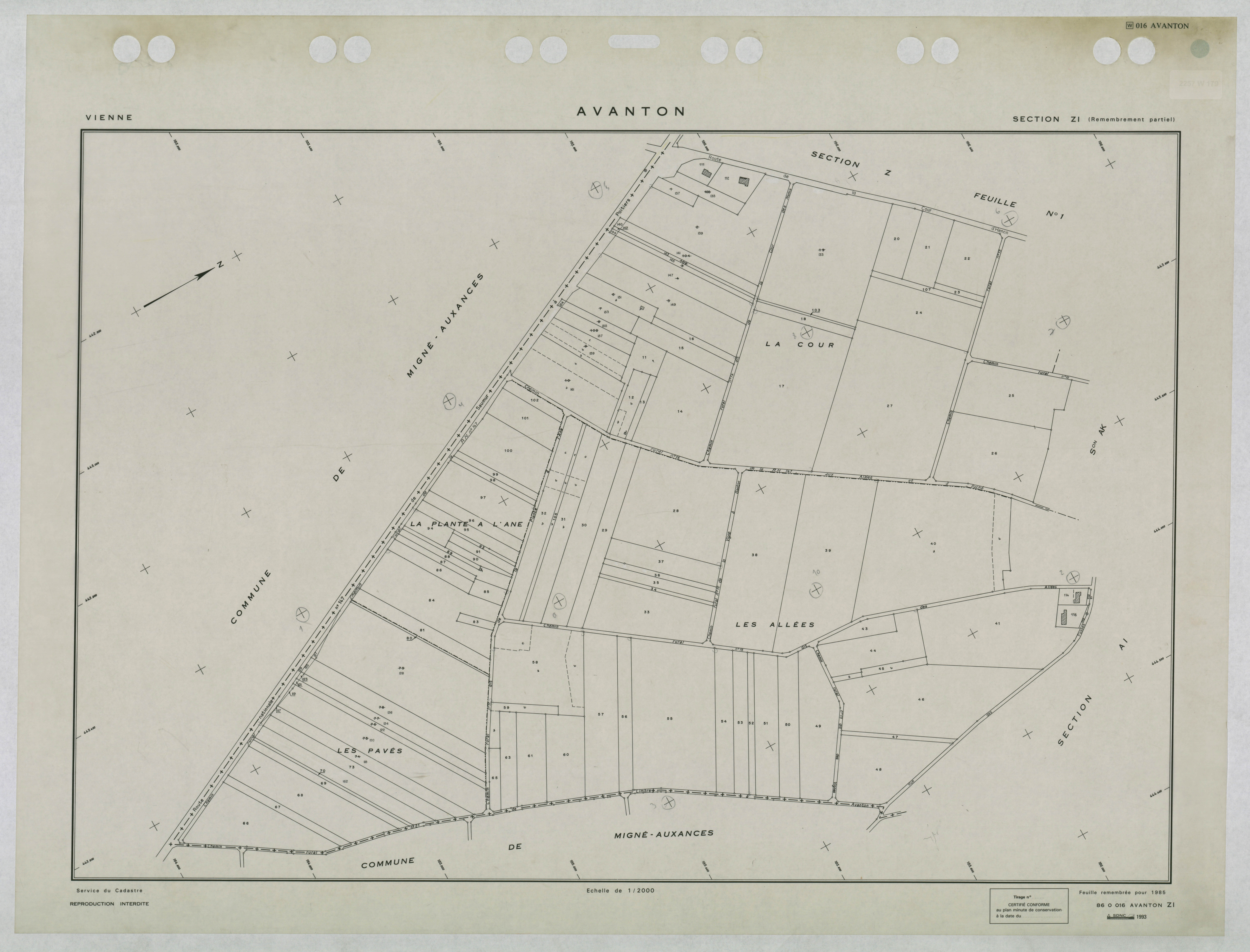 Avanton - FRAD086_cadastre Plans remembrés 