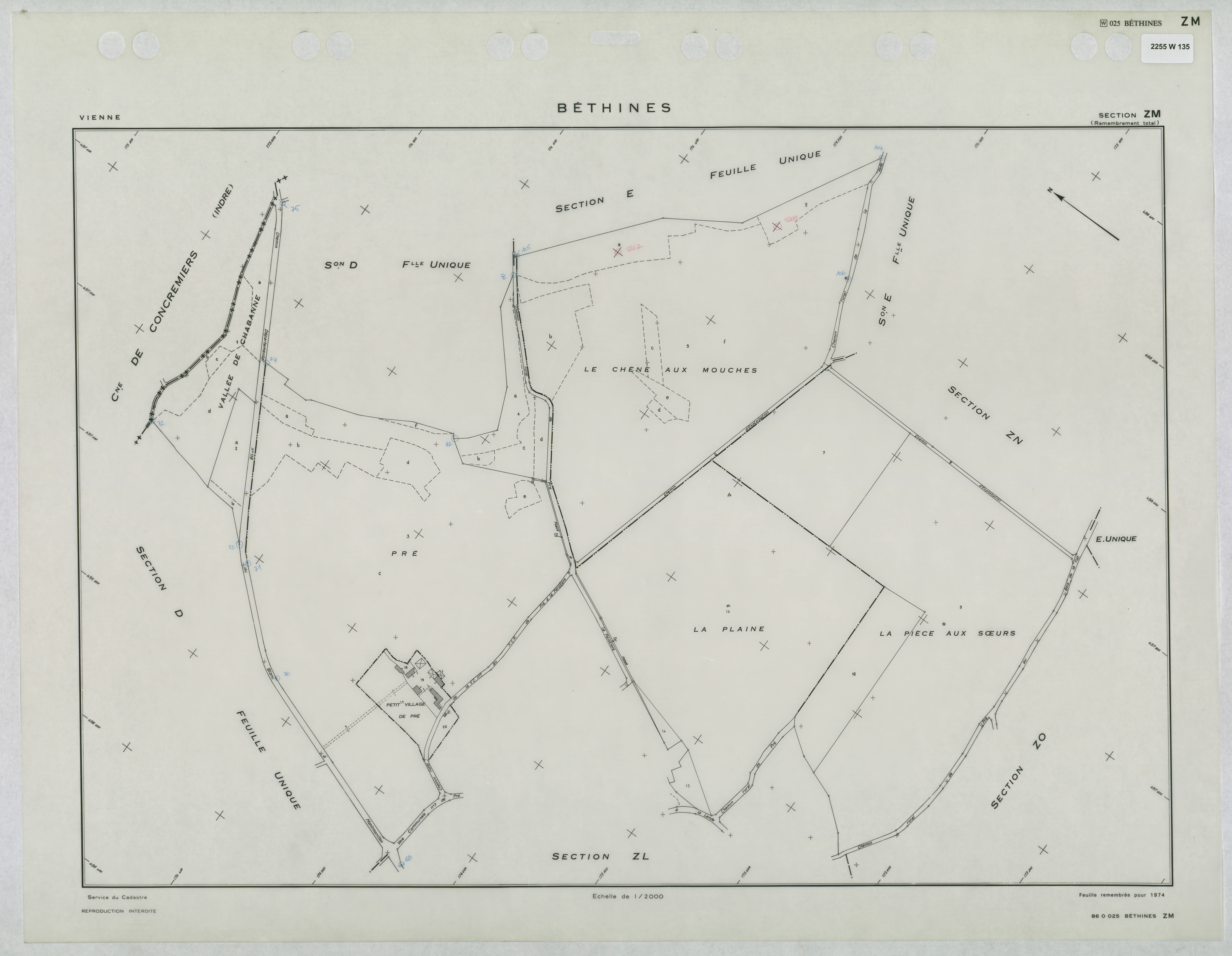 Béthines - FRAD086_cadastre Plans remembrés 