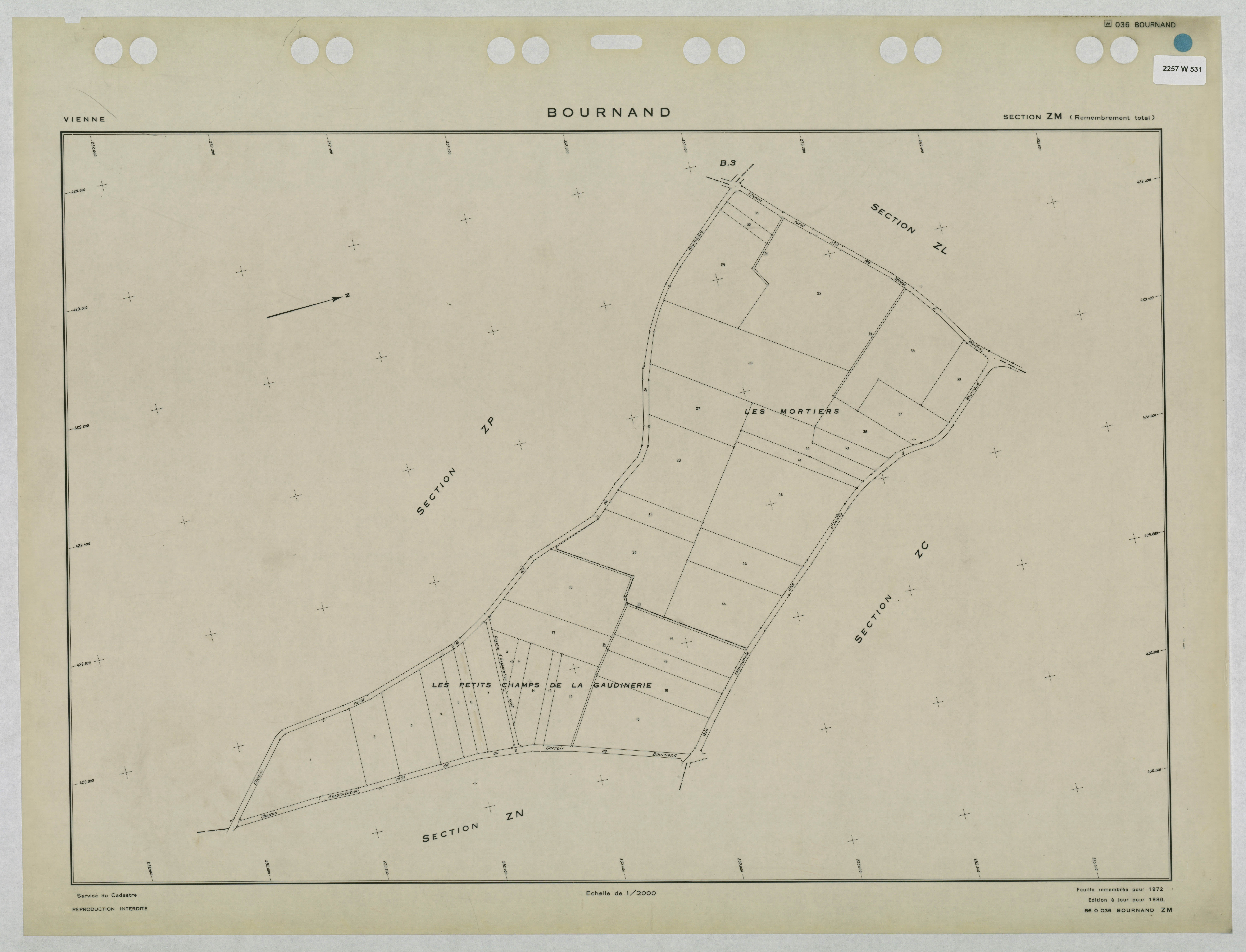 Bournand - FRAD086_cadastre Plans remembrés 